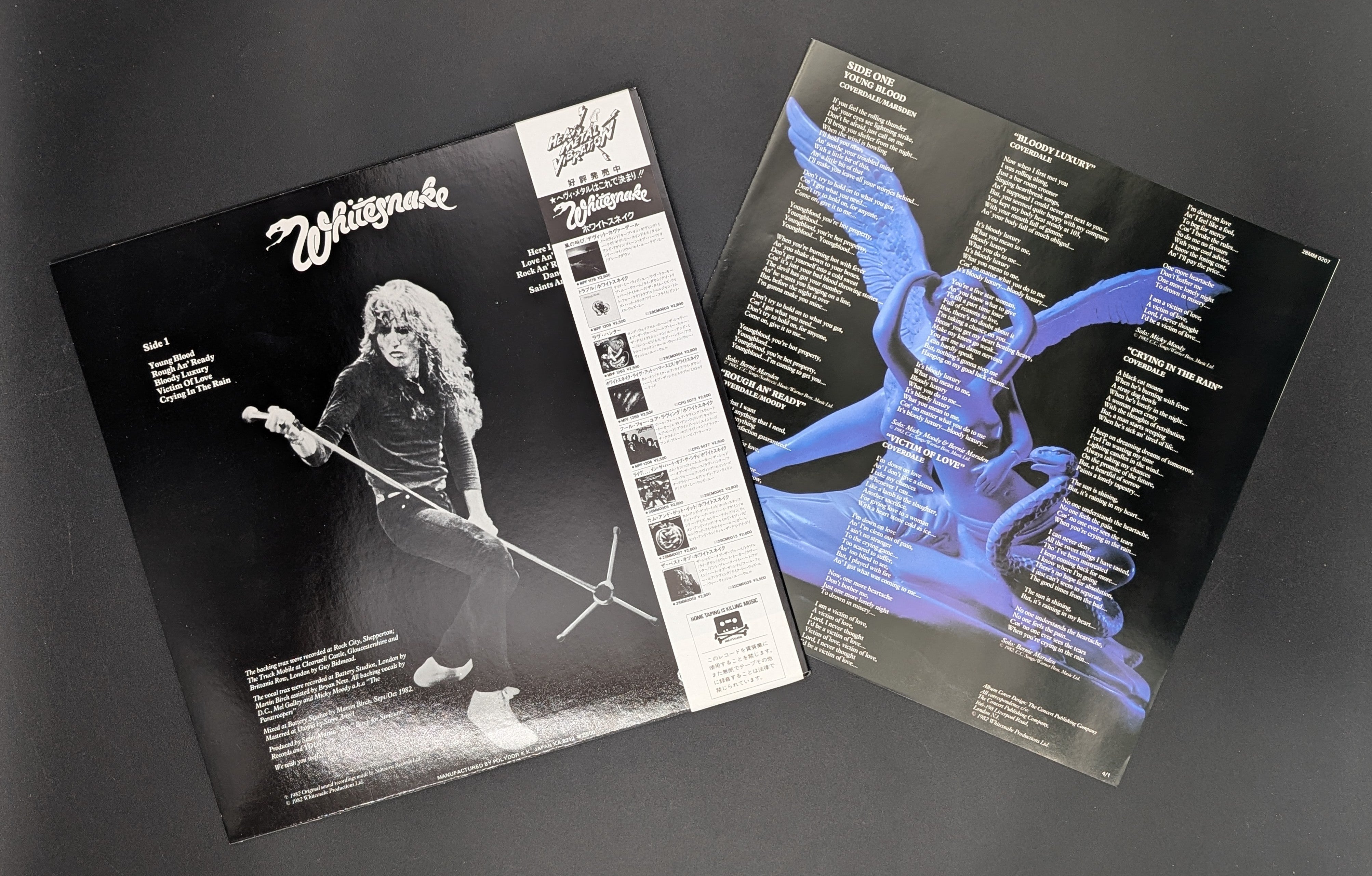 Whitesnake - Saints & Sinners
