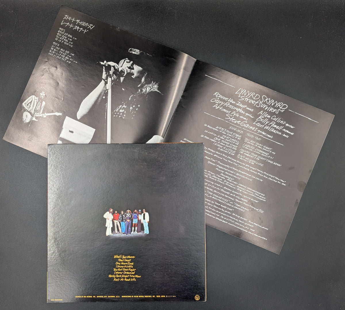Lynyrd Skynyrd - Street Survivors