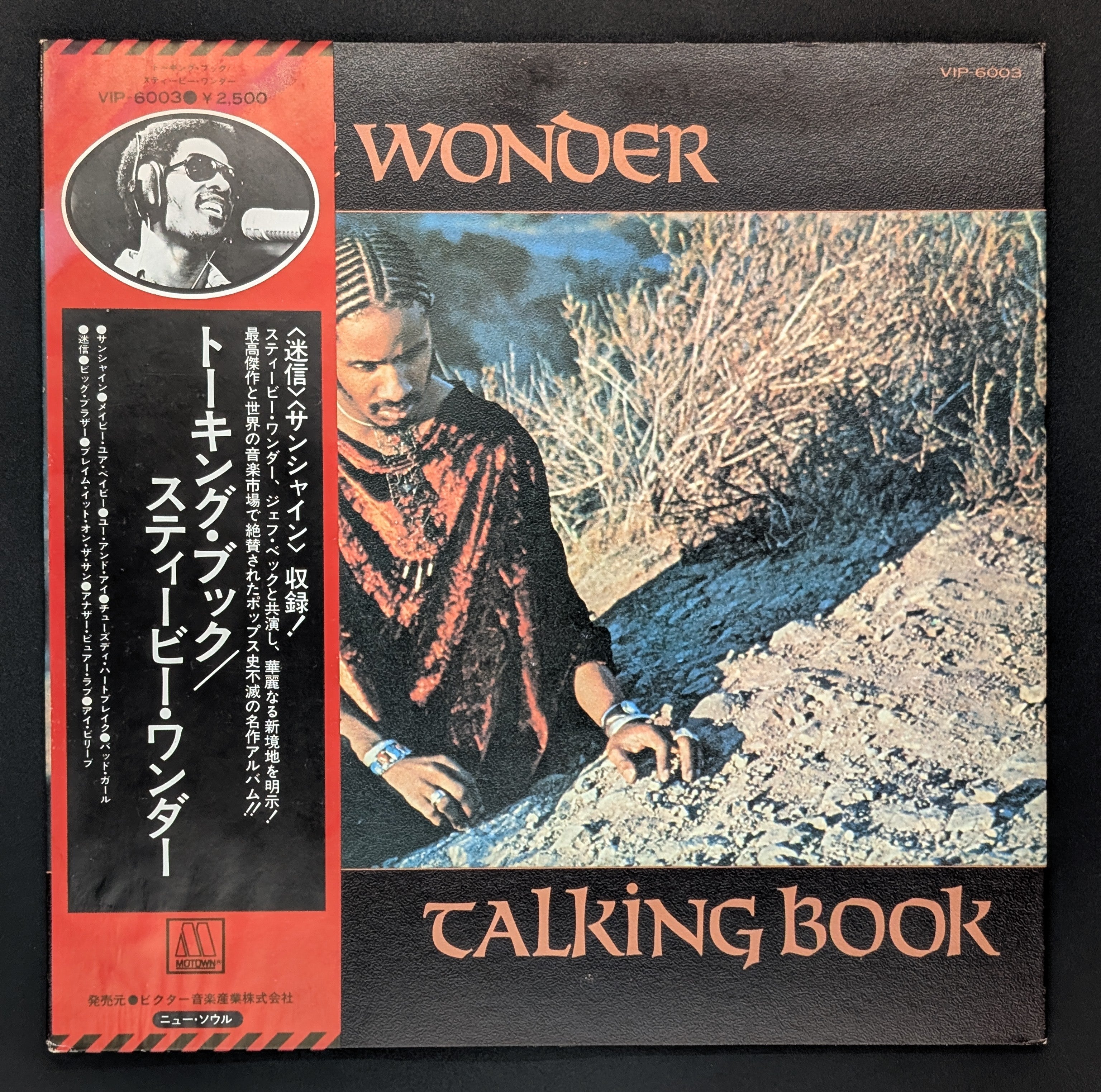 Stevie Wonder - Talking Book