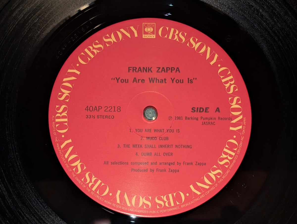 Frank Zappa - You Are What You Is