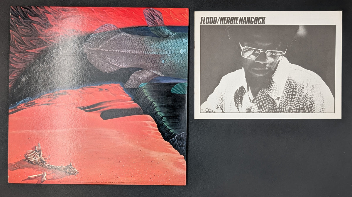 Herbie Hancock - Flood