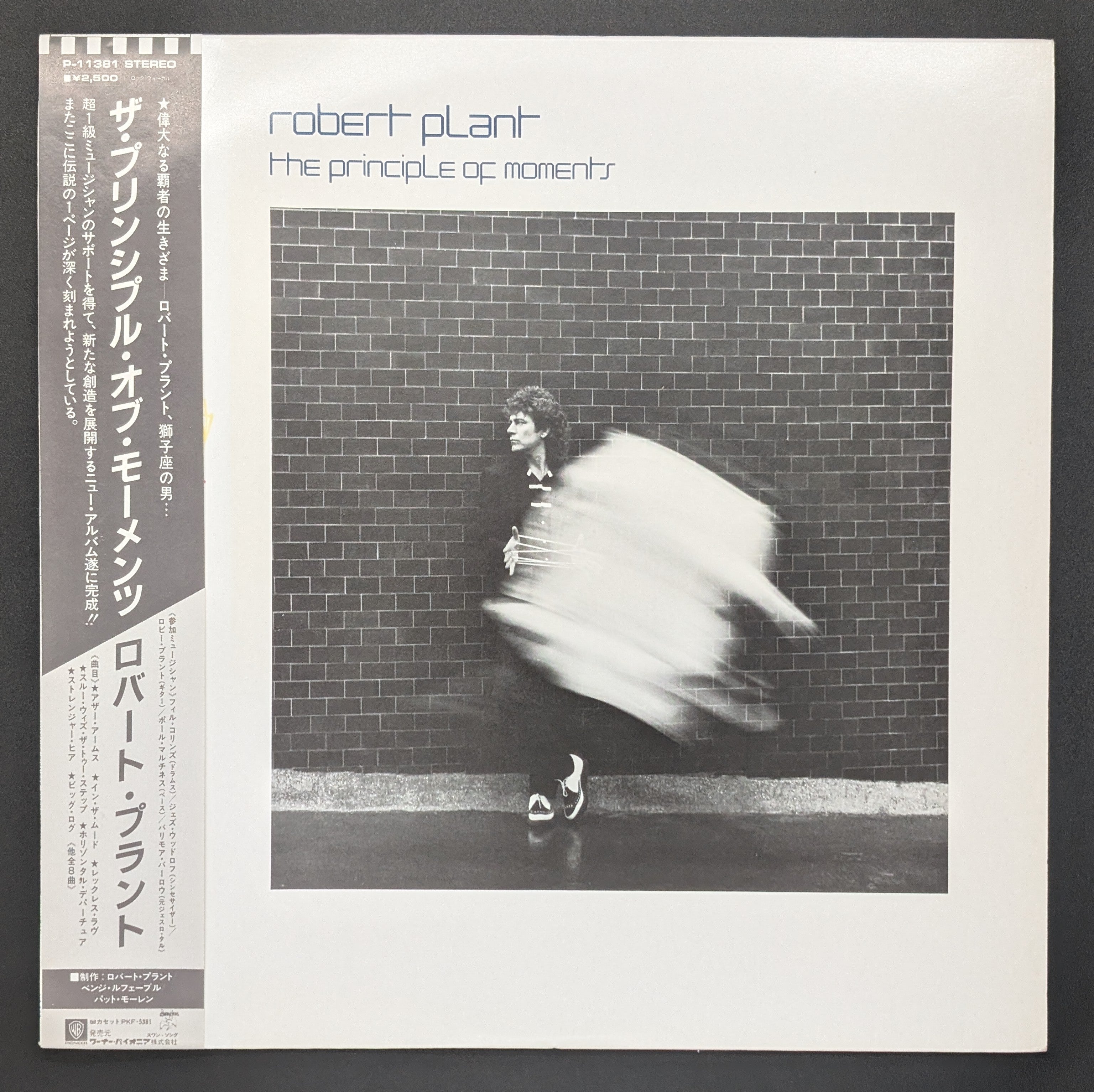 Robert Plant - The Principle Of Moments