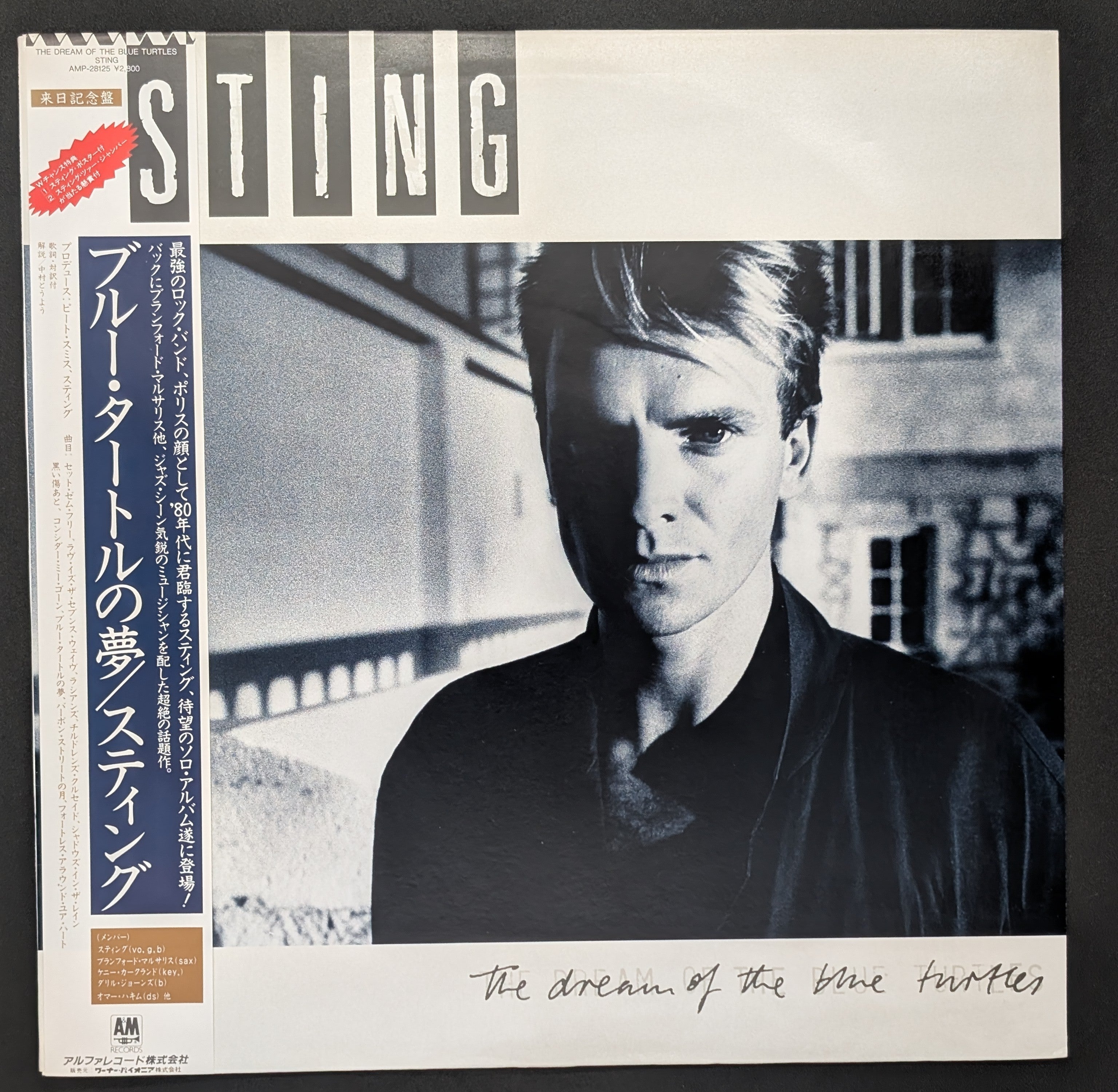 Sting -The Dream Of The Blue Turtles *