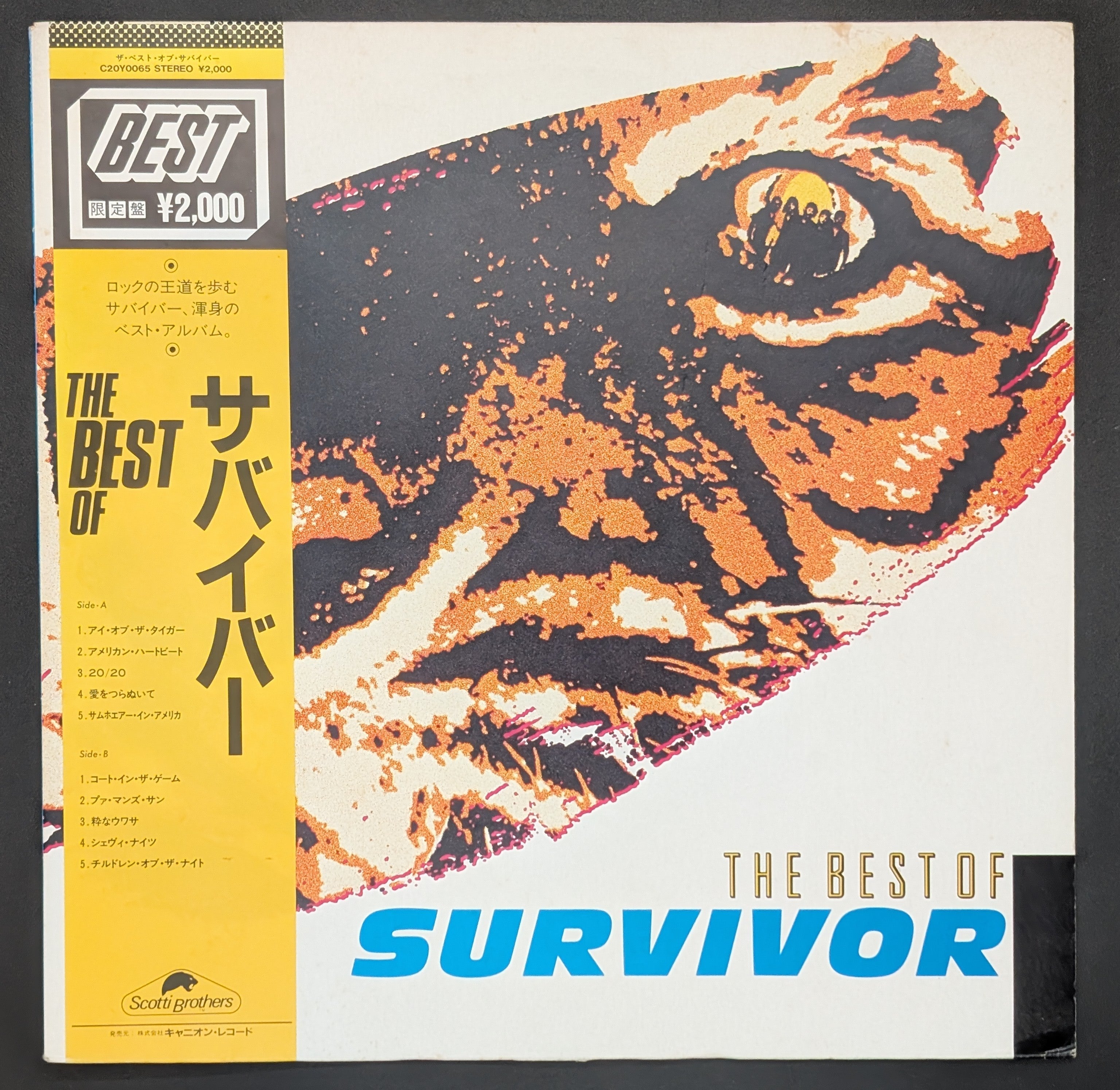 Survivor - The Best Of Survivor