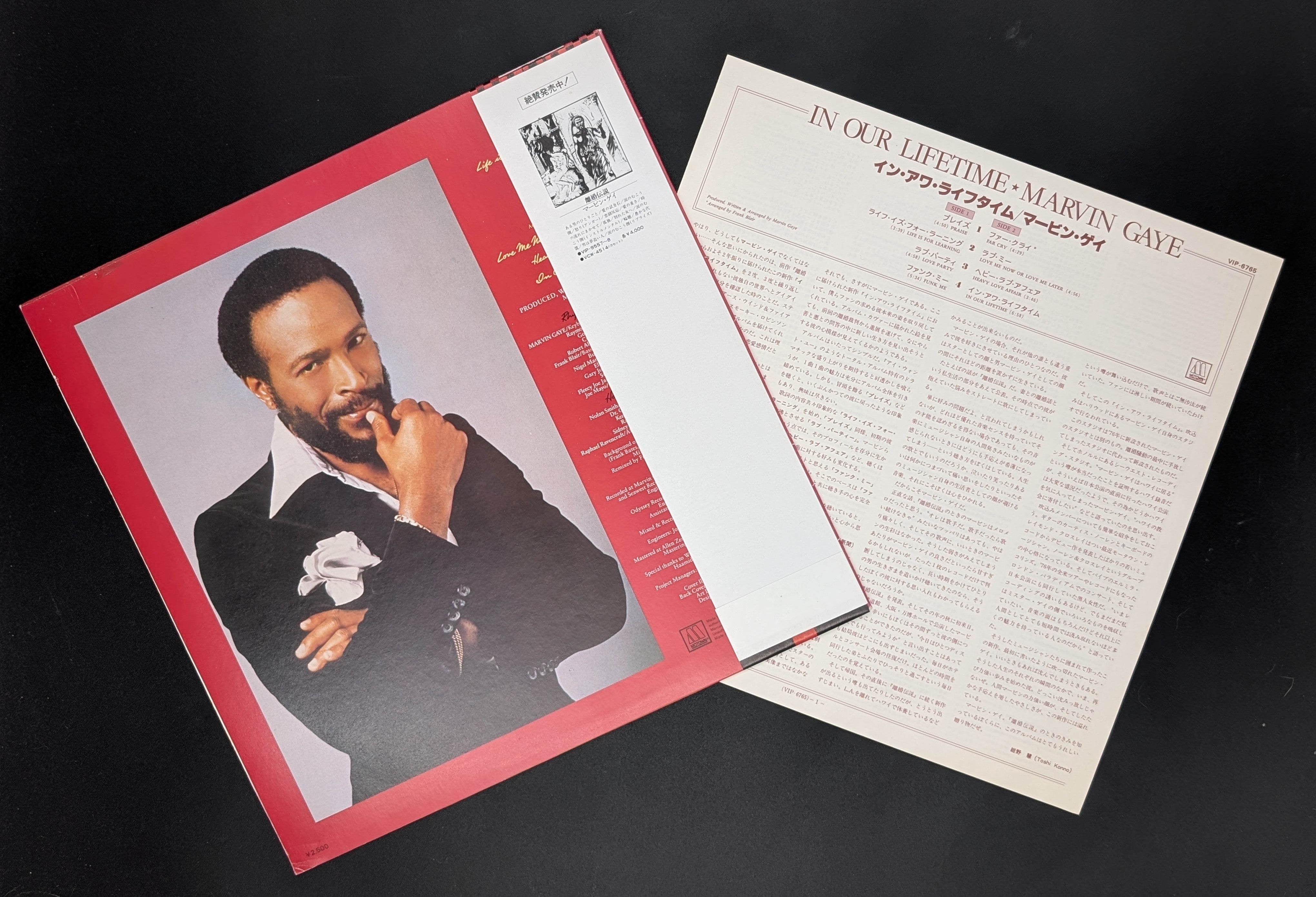 Marvin Gaye - In Our Lifetime