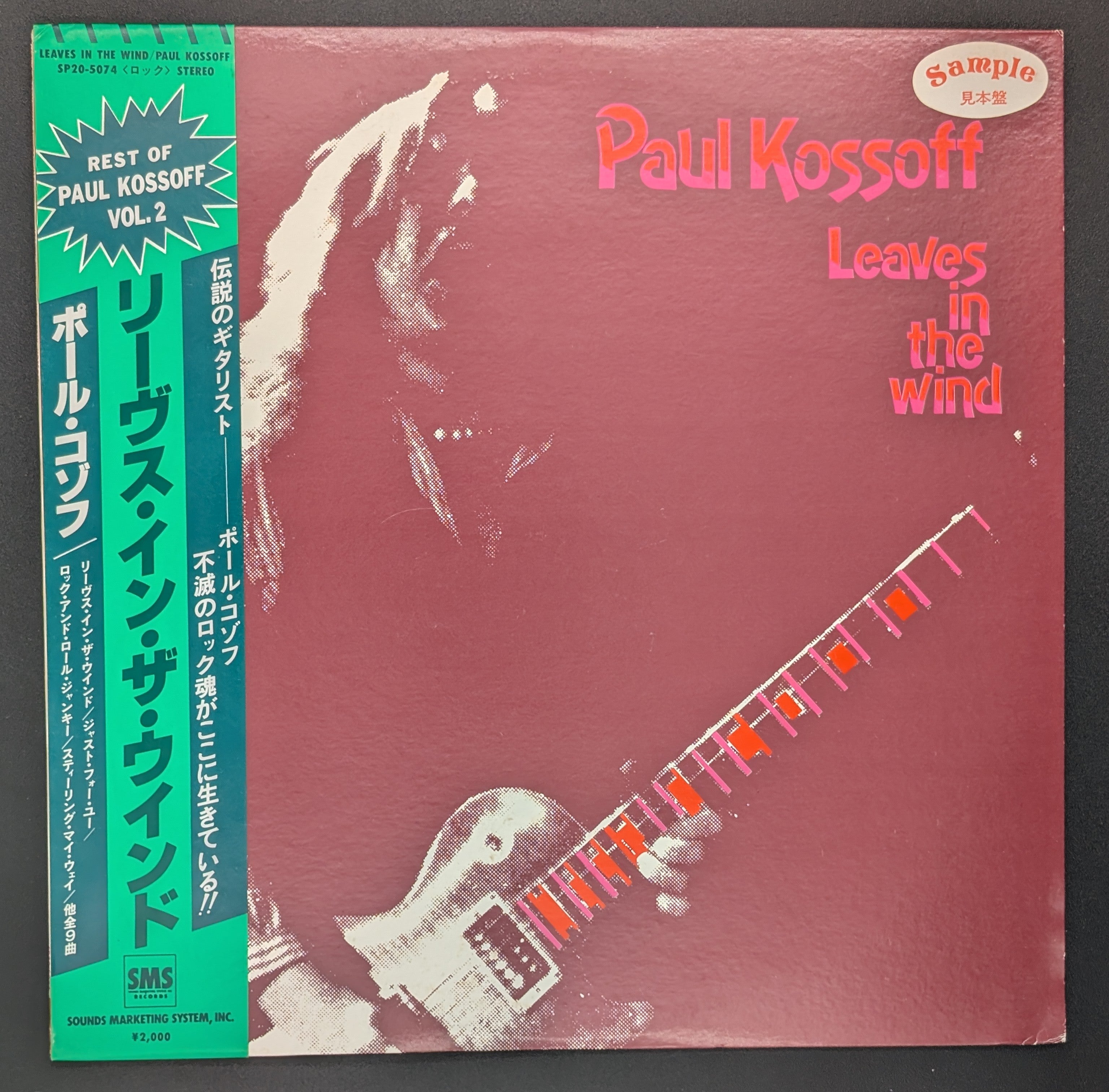 Paul Kossoff - Leaves In The Wind