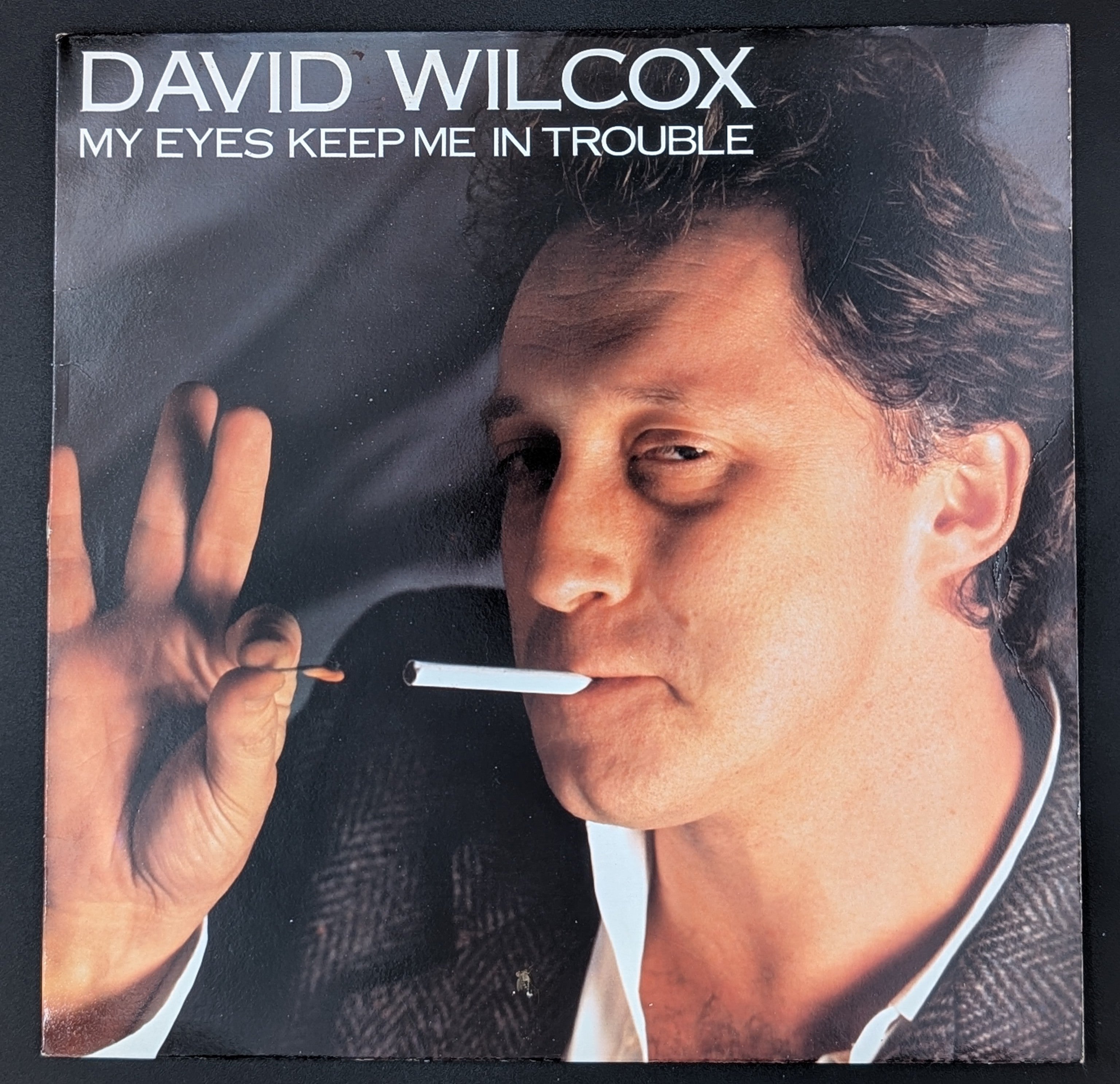 David Wilcox - My Eyes Keep Me In Trouble