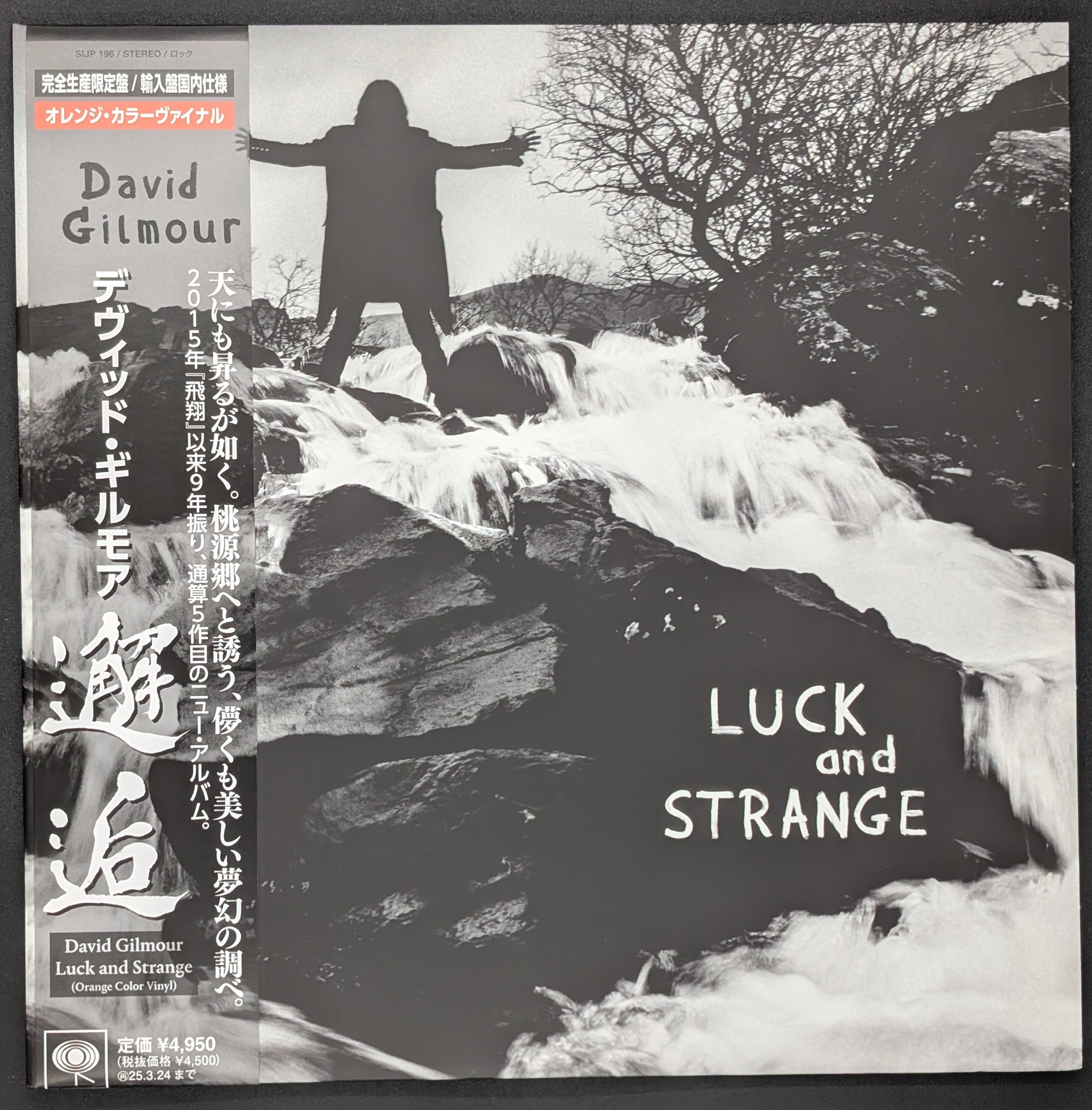 David Gilmour - Luck And Strange