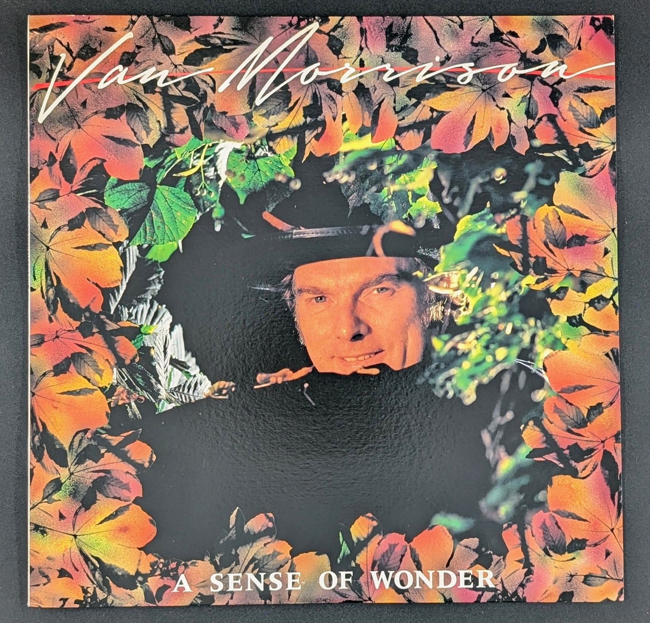 Van Morrison - A Sense Of Wonder