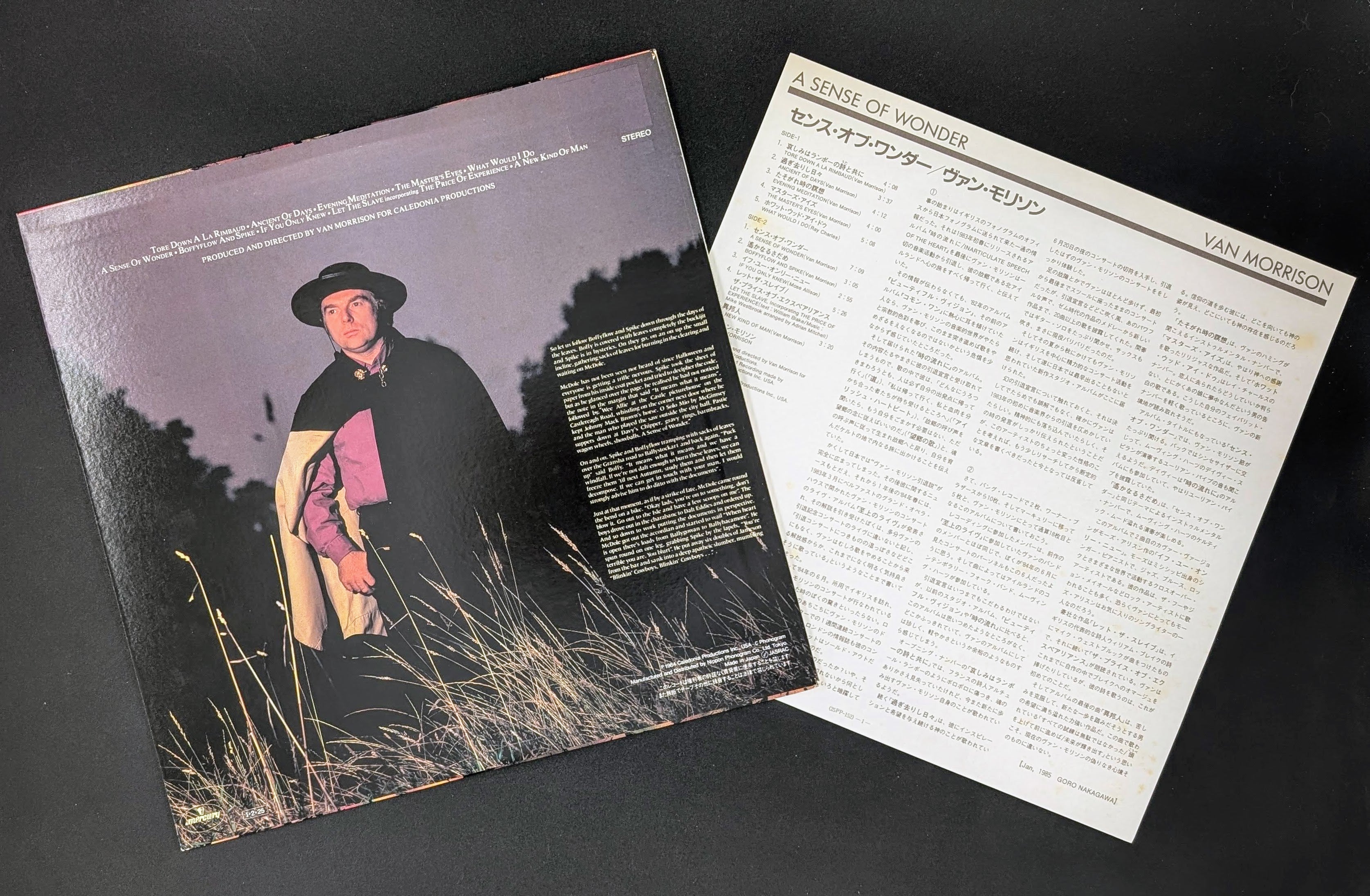 Van Morrison - A Sense Of Wonder