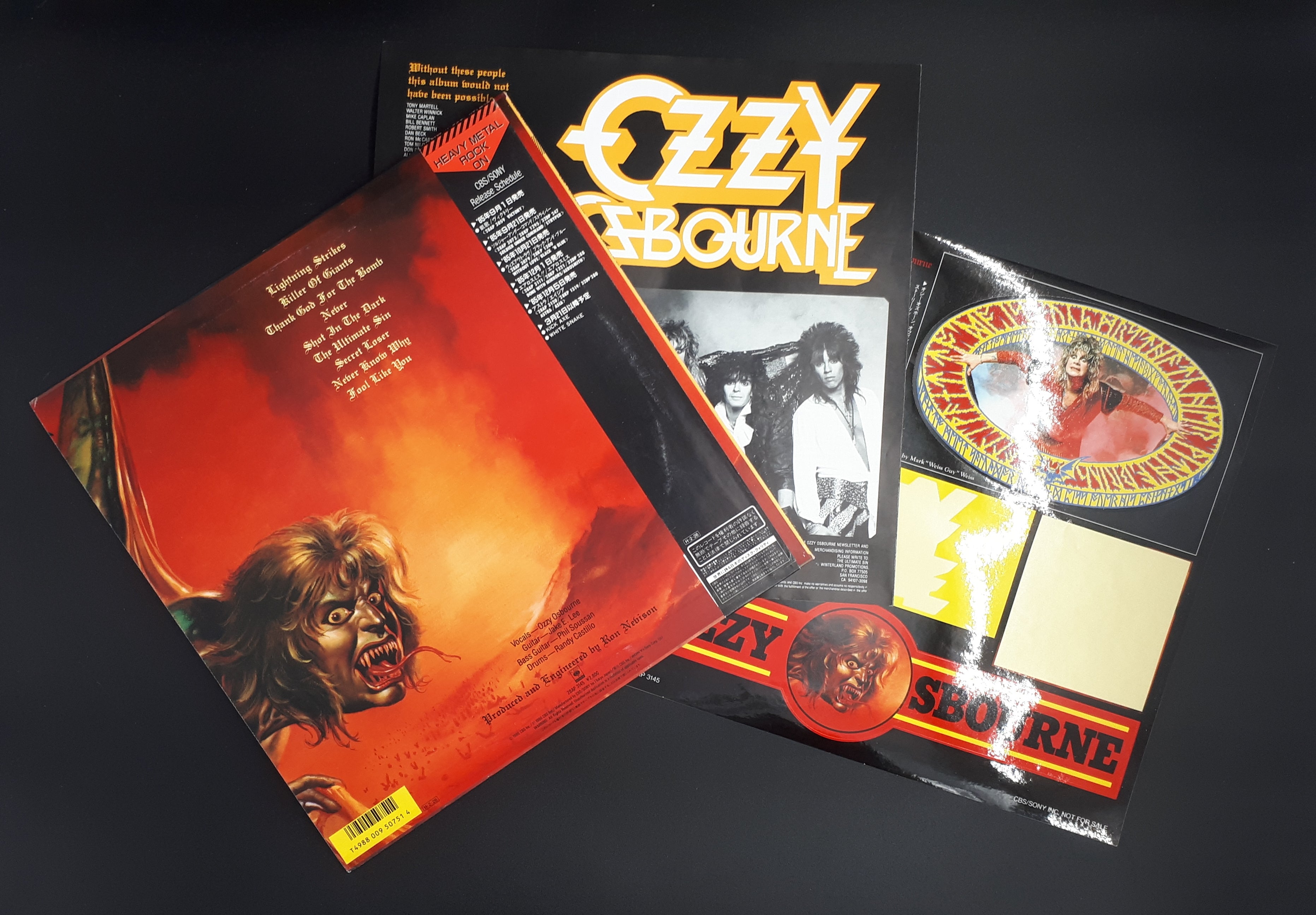 Ozzy Osbourne - The Ultimate Sin 罪と罰