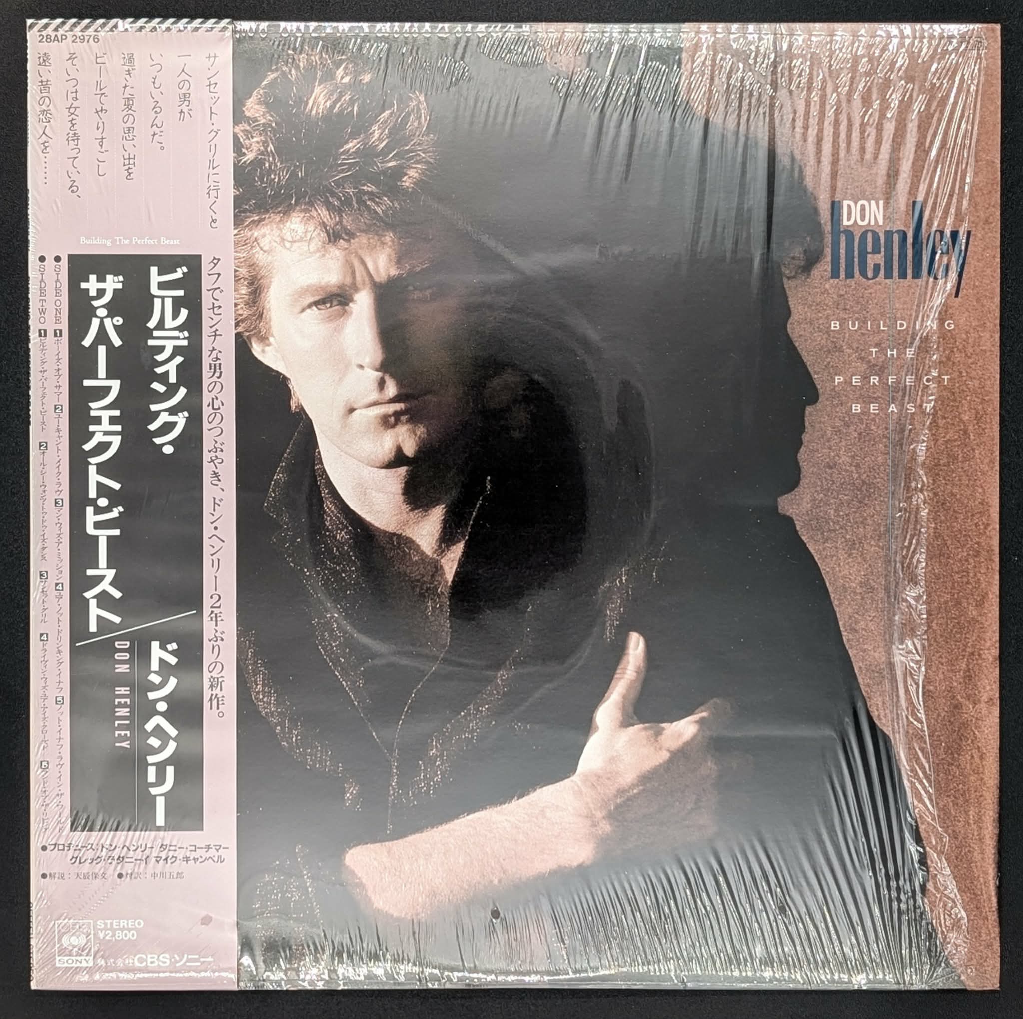 Don Henley - Building The Perfect Beast
