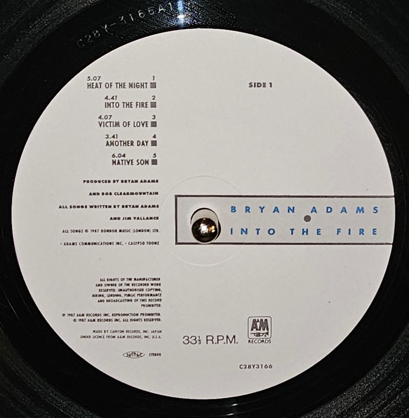 Bryan Adams - Into The Fire