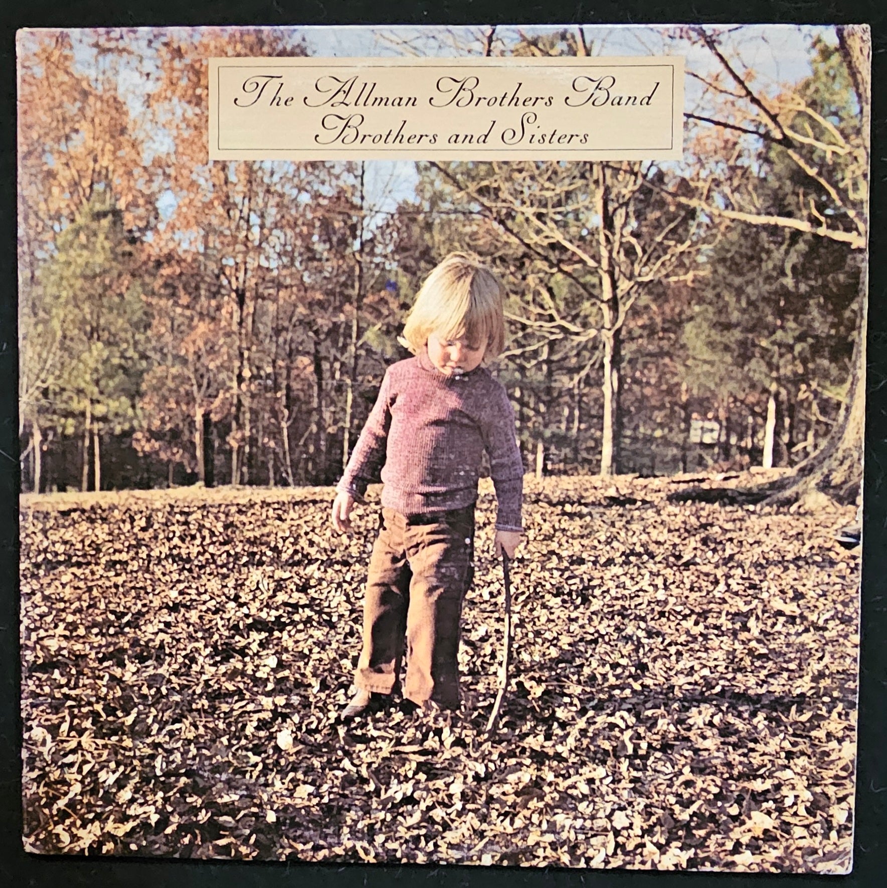 The Allman Brothers Band - Brothers And Sisters ** Sold **