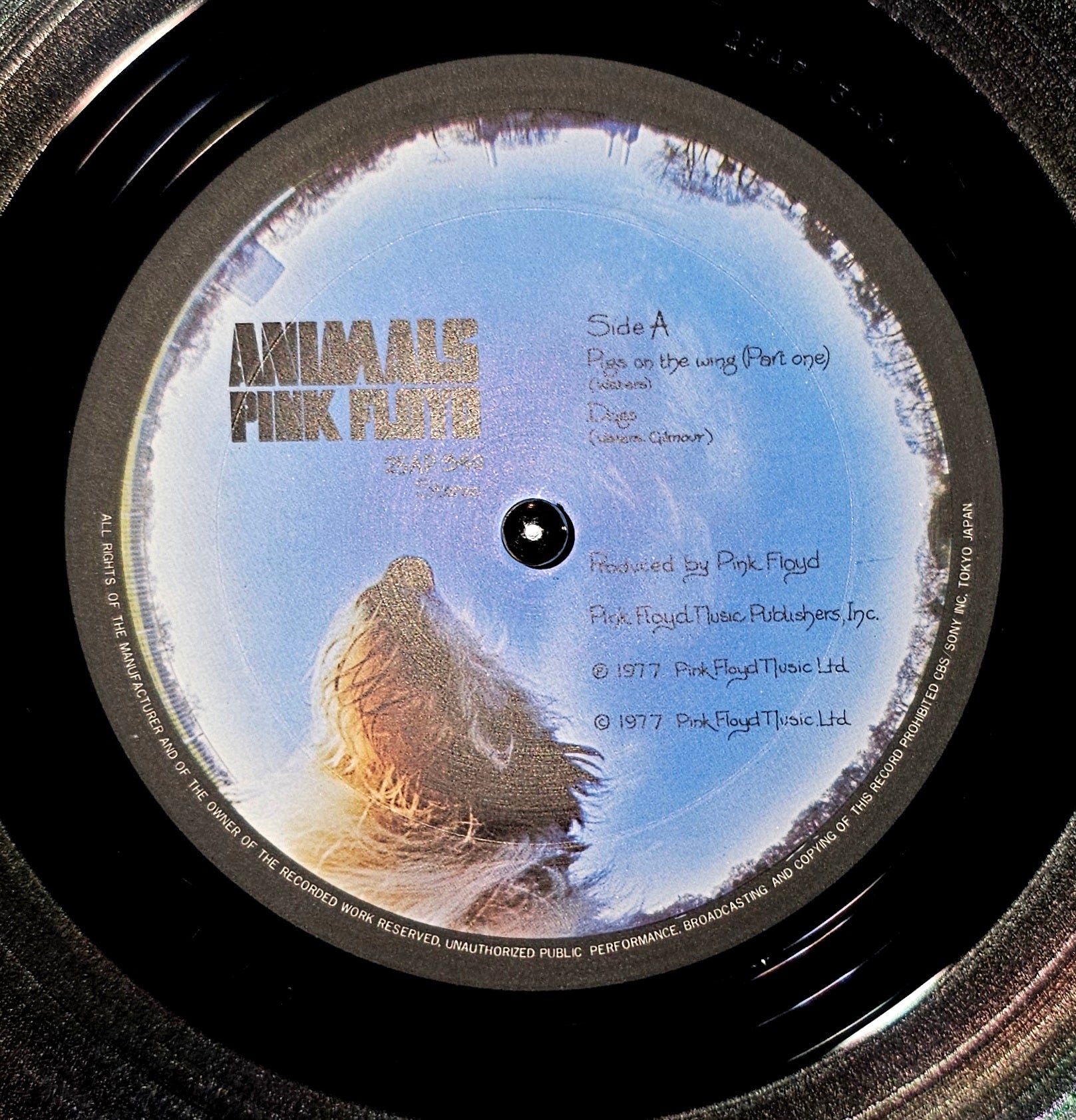 Pink Floyd - Animals  アニマルズ