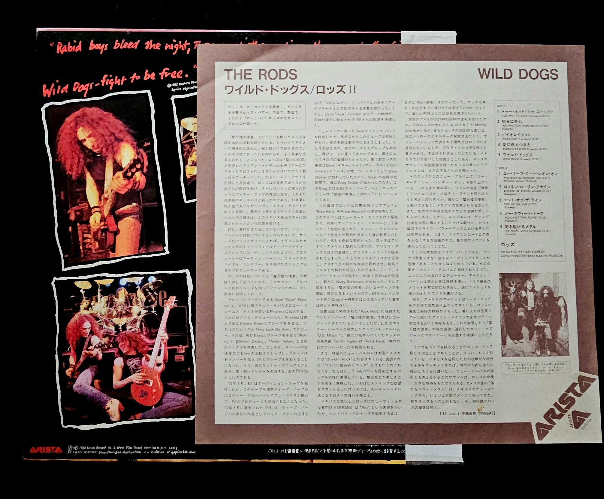 The Rods - Wild Dogs