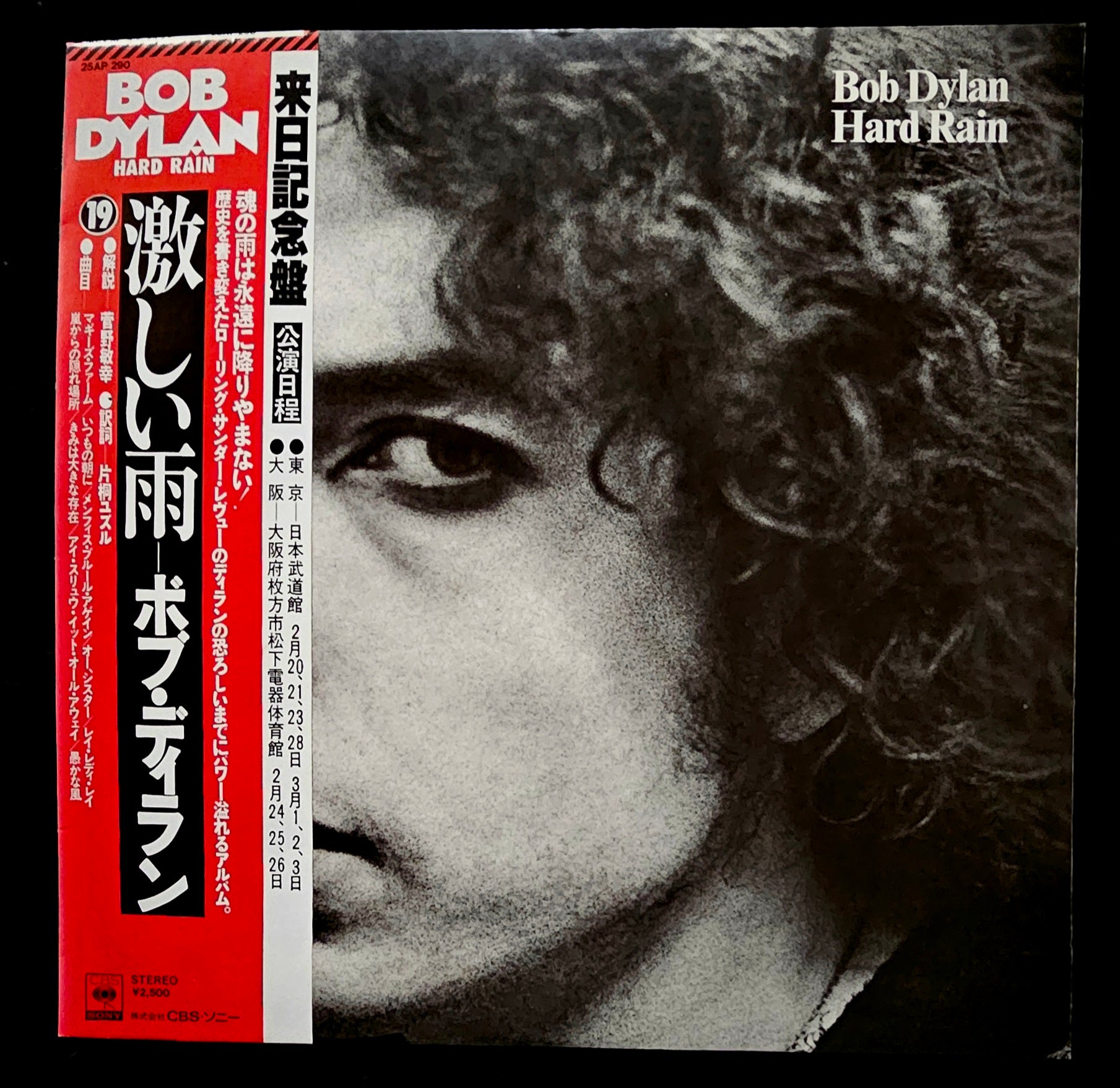 Bob Dylan - Hard Rain