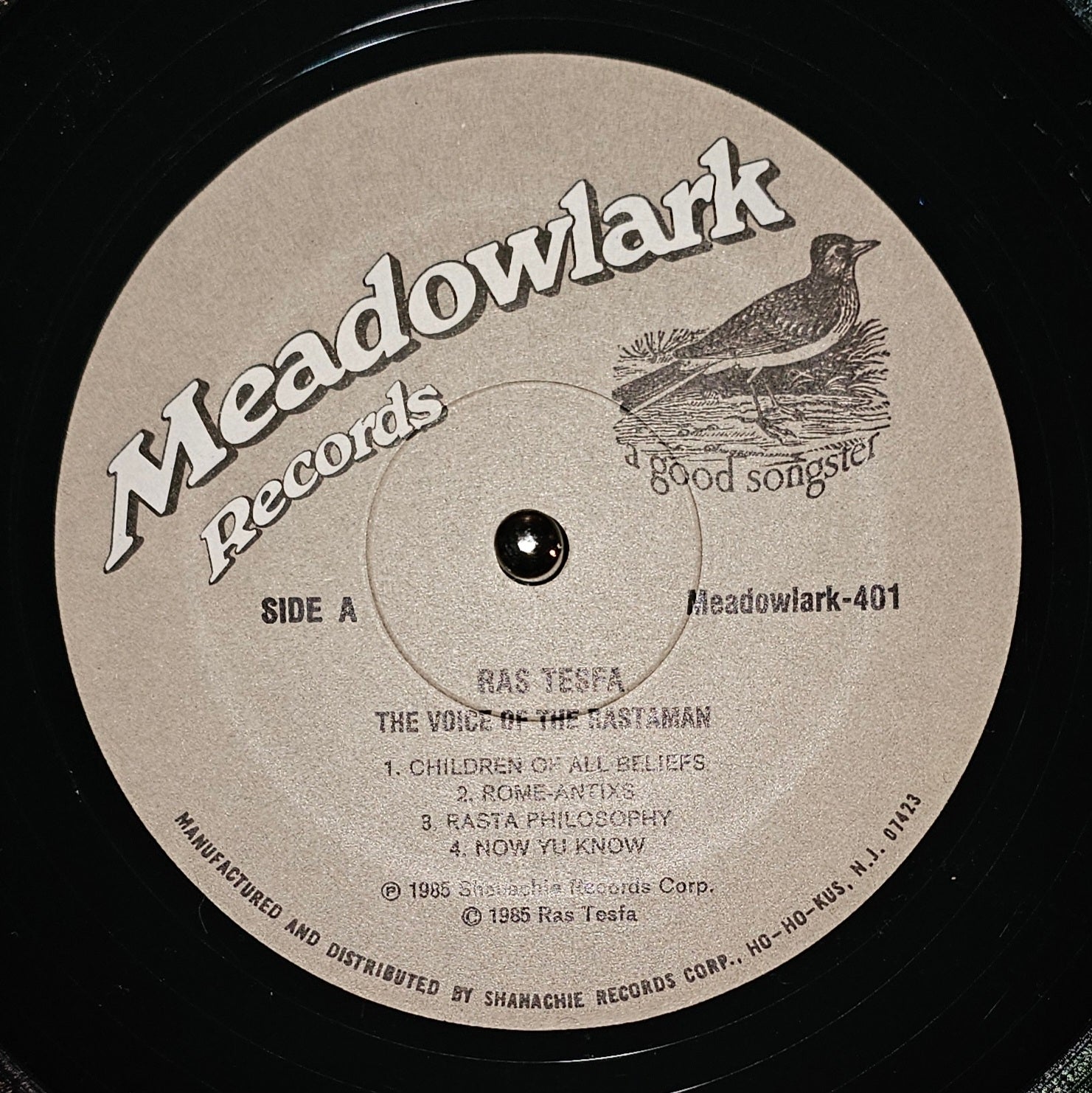Ras Tesfa - The Voice Of The Rastaman