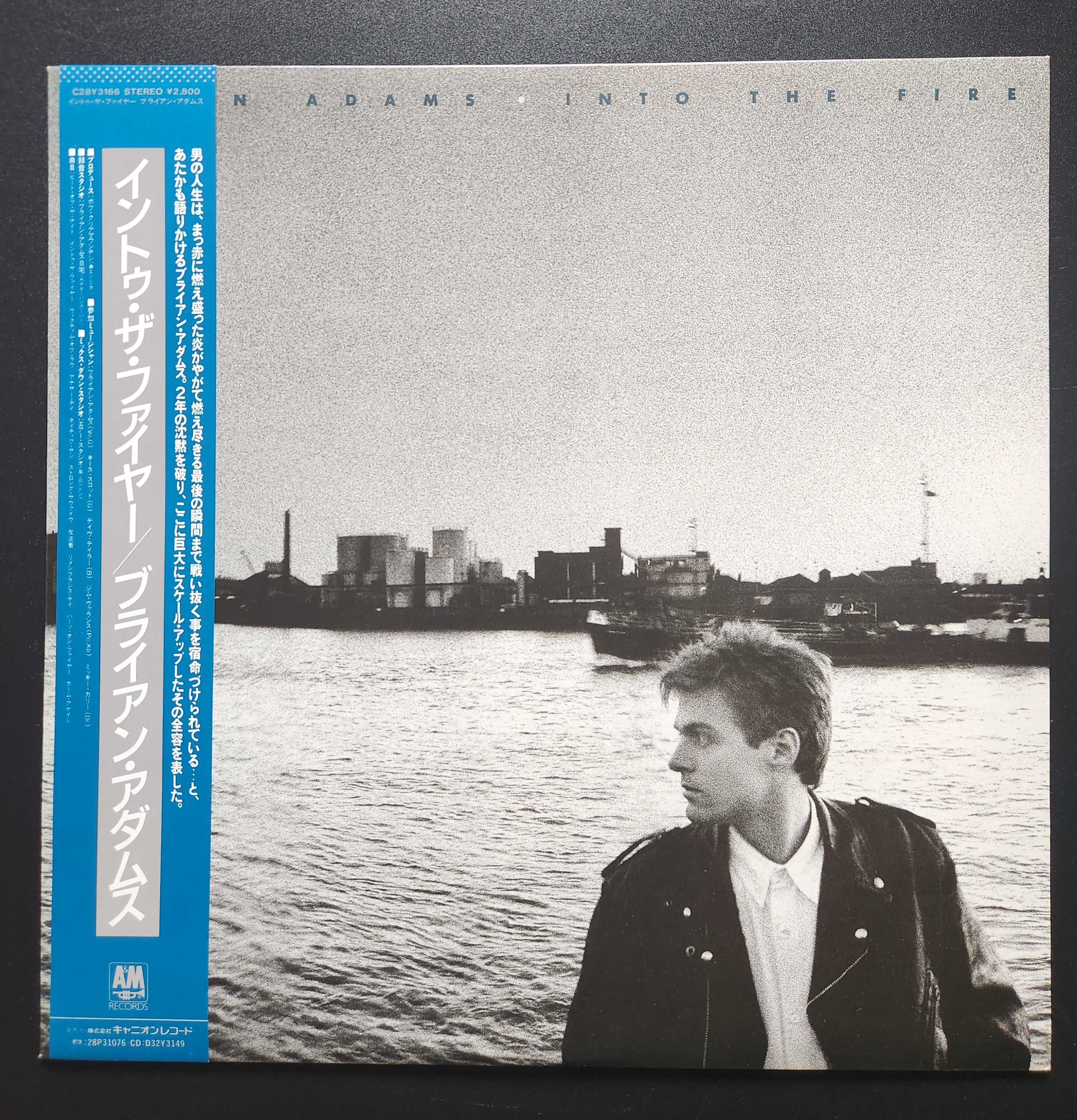 Bryan Adams - Into The Fire