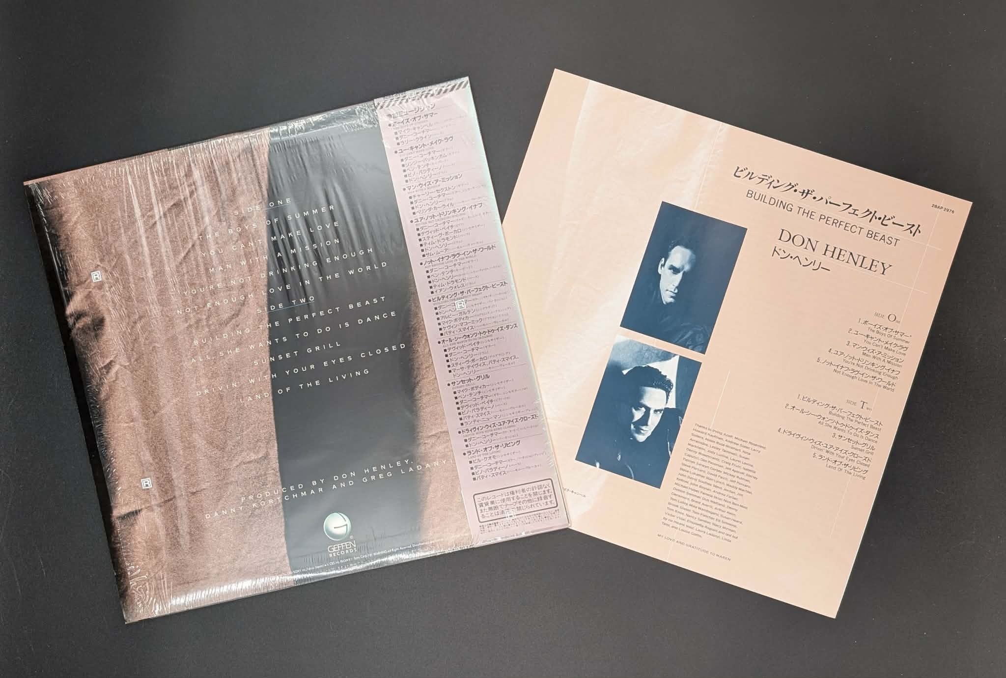 Don Henley - Building The Perfect Beast