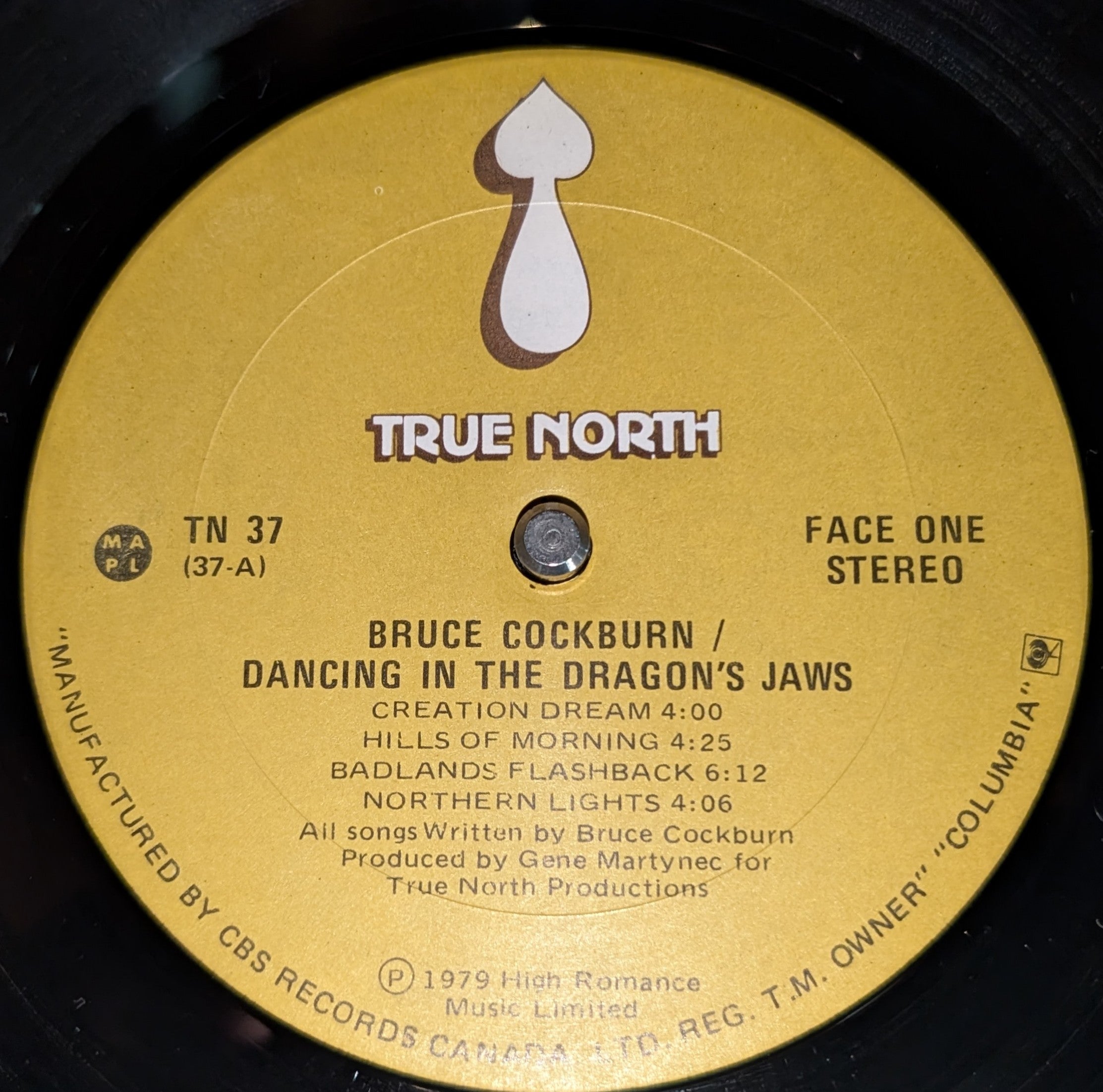 Bruce Cockburn - Dancing In The Dragon's Jaws