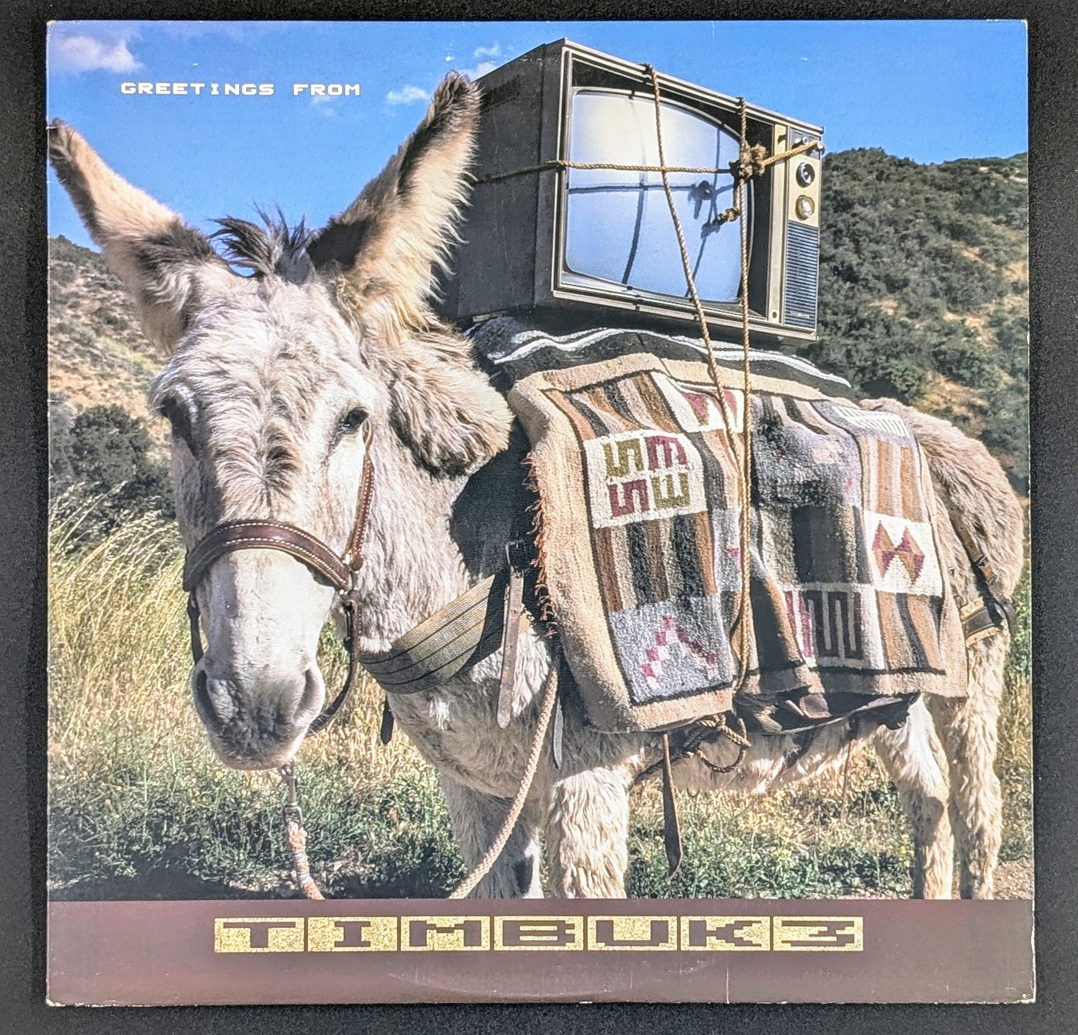 Timbuk 3 - Greetings From Timbuk 3