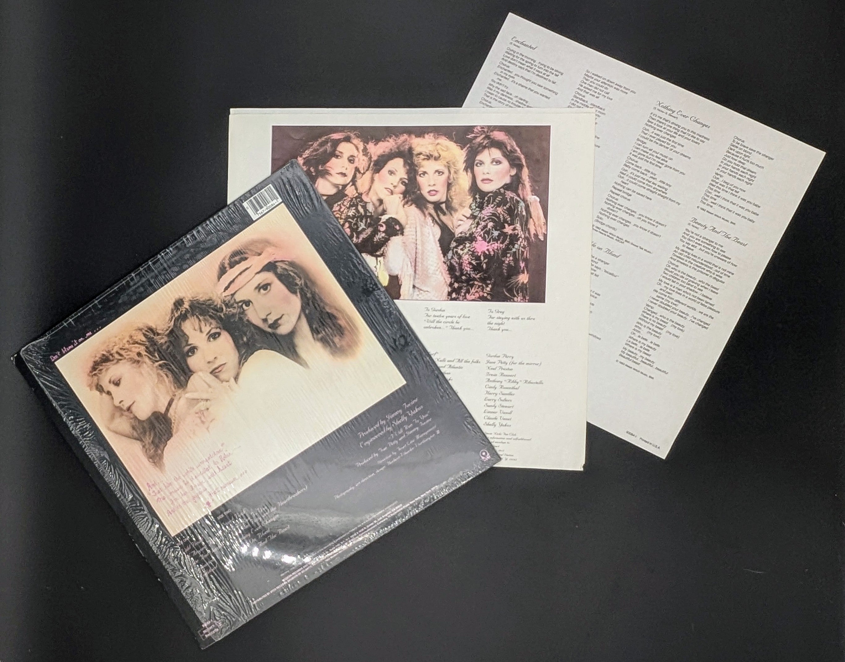 Stevie Nicks - The Wild Heart