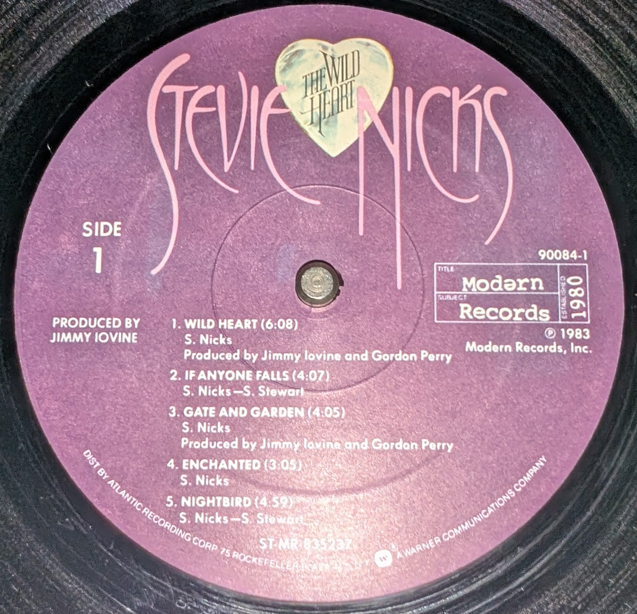 Stevie Nicks - The Wild Heart