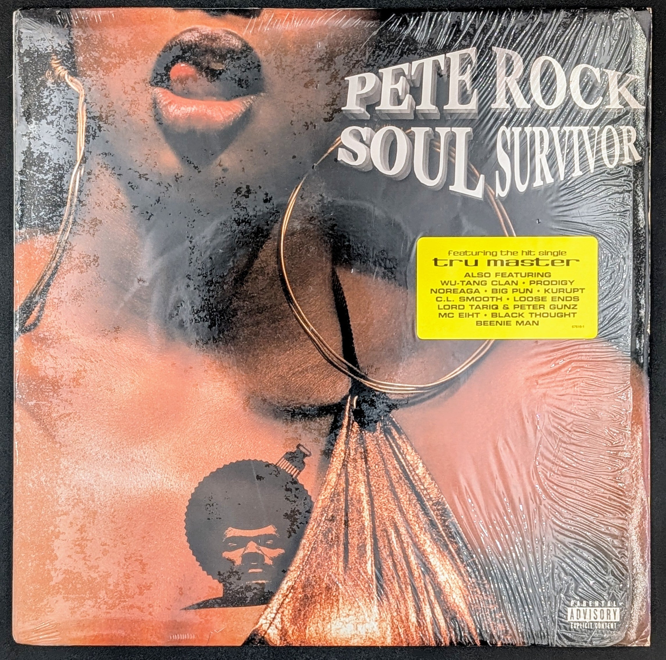 Pete Rock - Soul Survivor