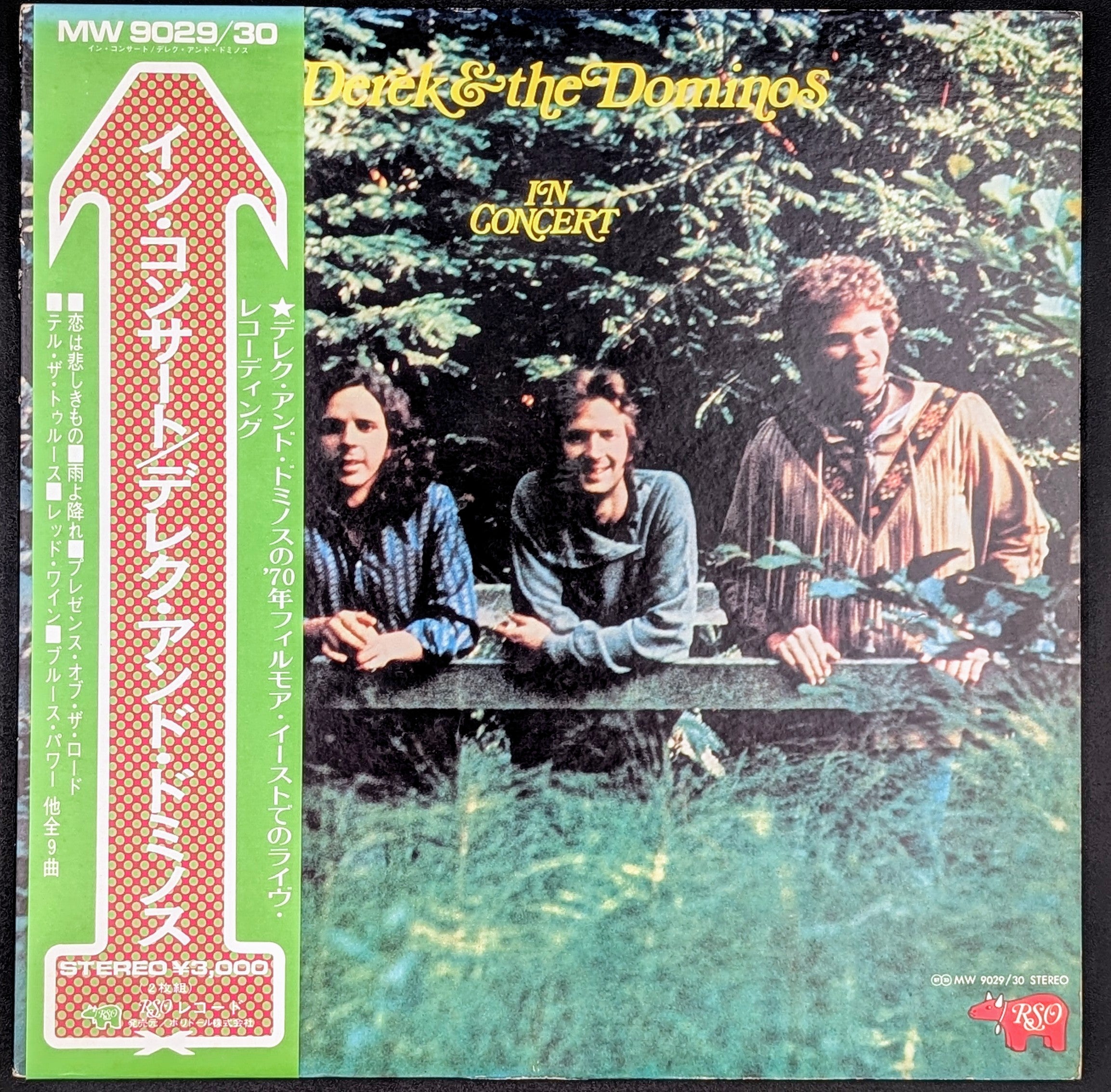 Derek And The Dominoes - In Concert