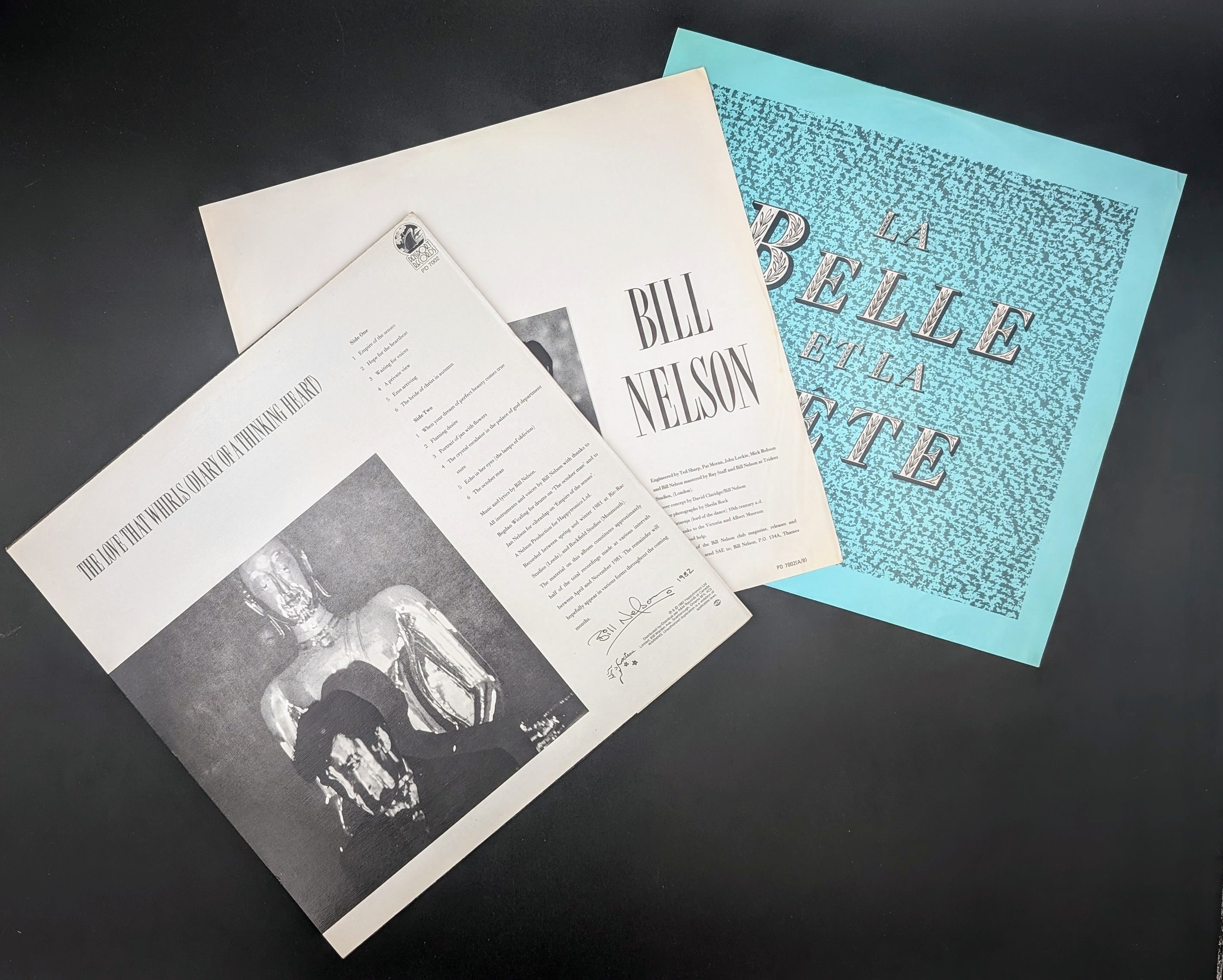 Bill Nelson - The Love That Whirls (Diary Of A Thinking Heart)