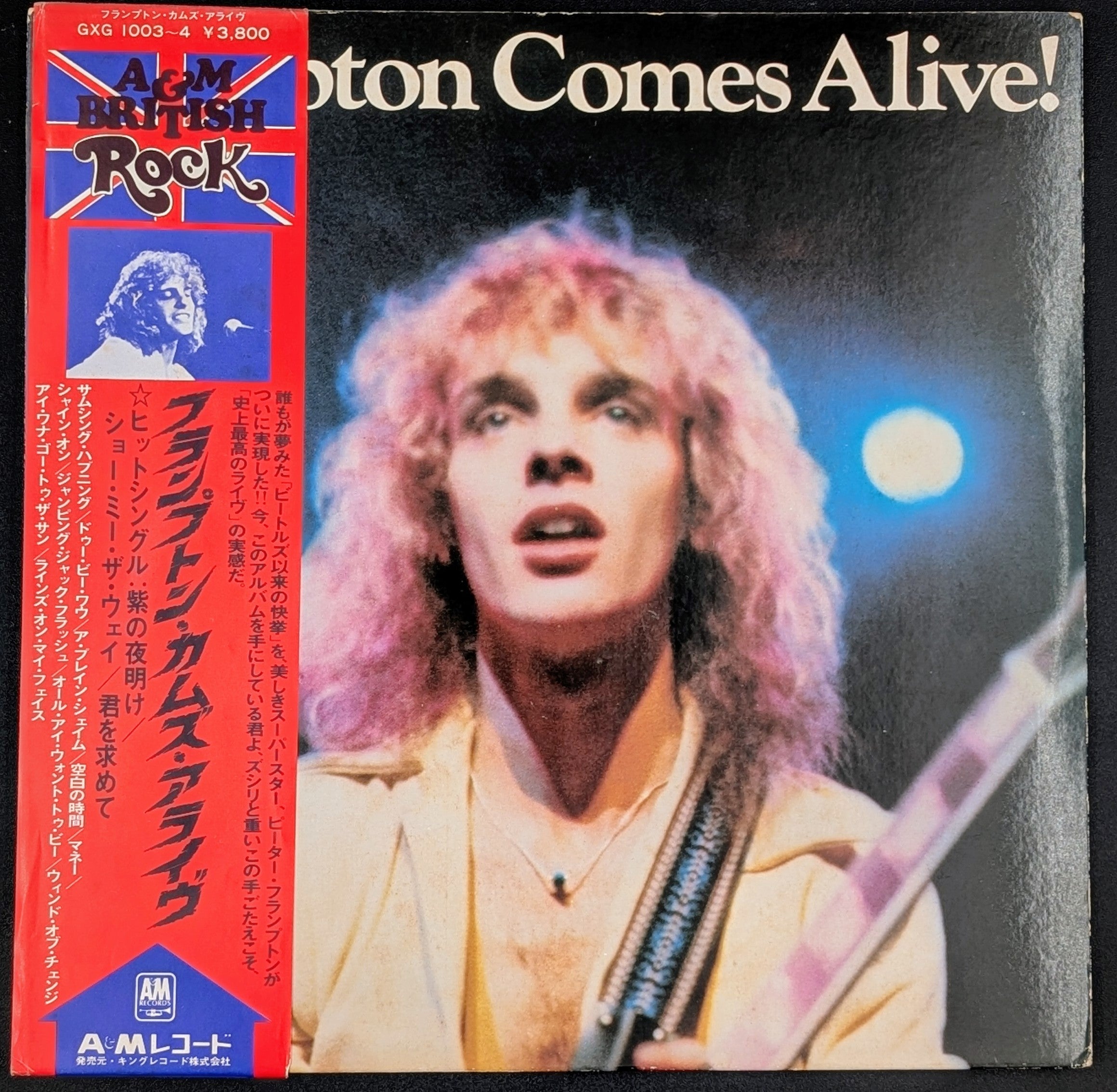 Peter Frampton - Frampton Comes Alive!