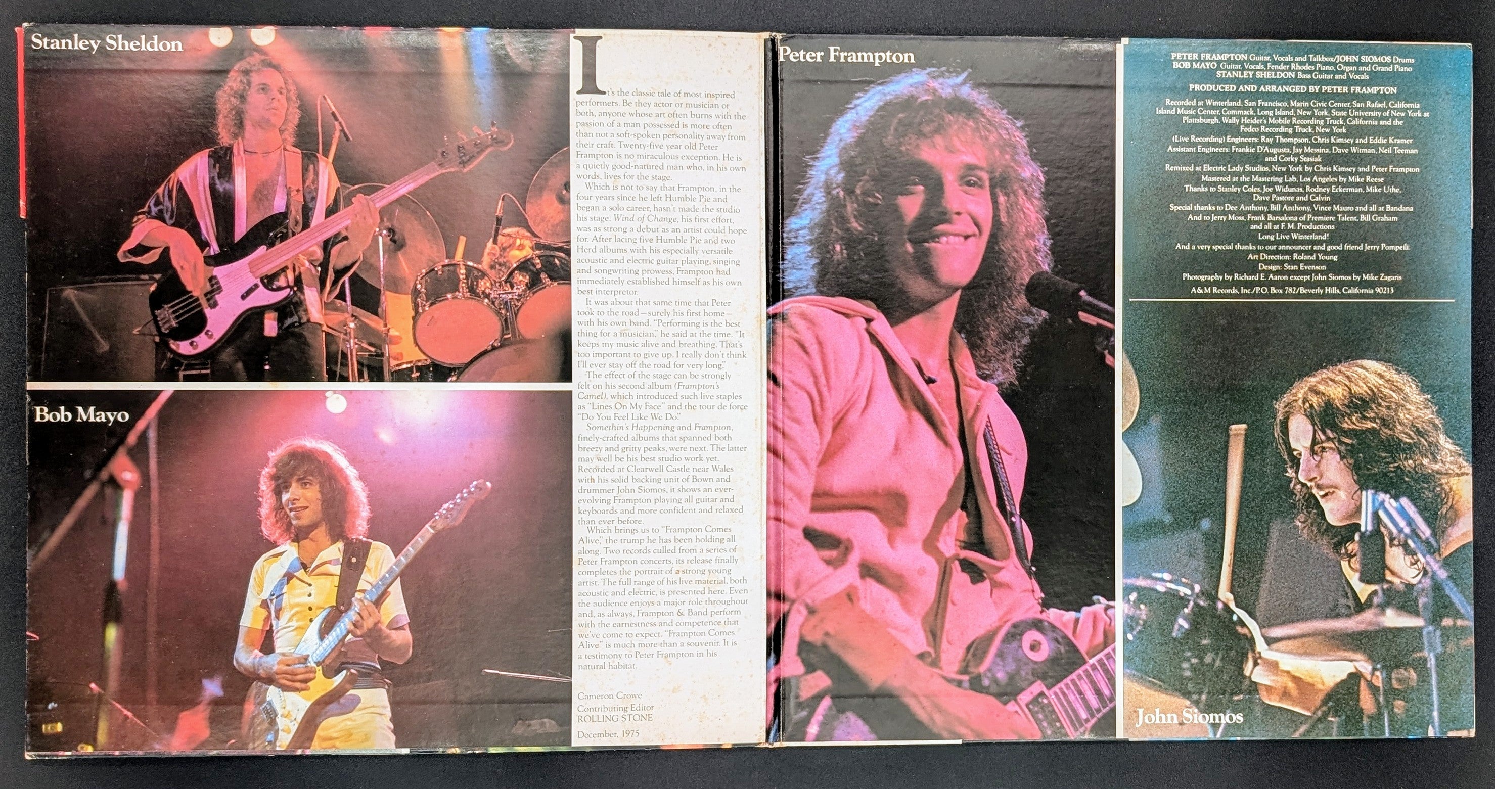 Peter Frampton - Frampton Comes Alive!
