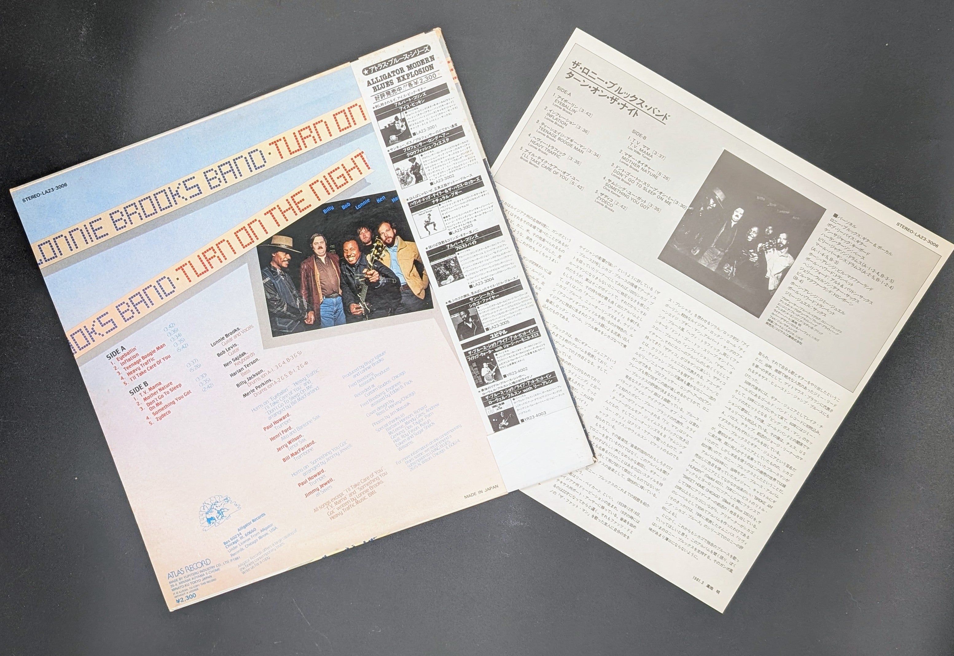 The Lonnie Brooks Band - Turn On The Night