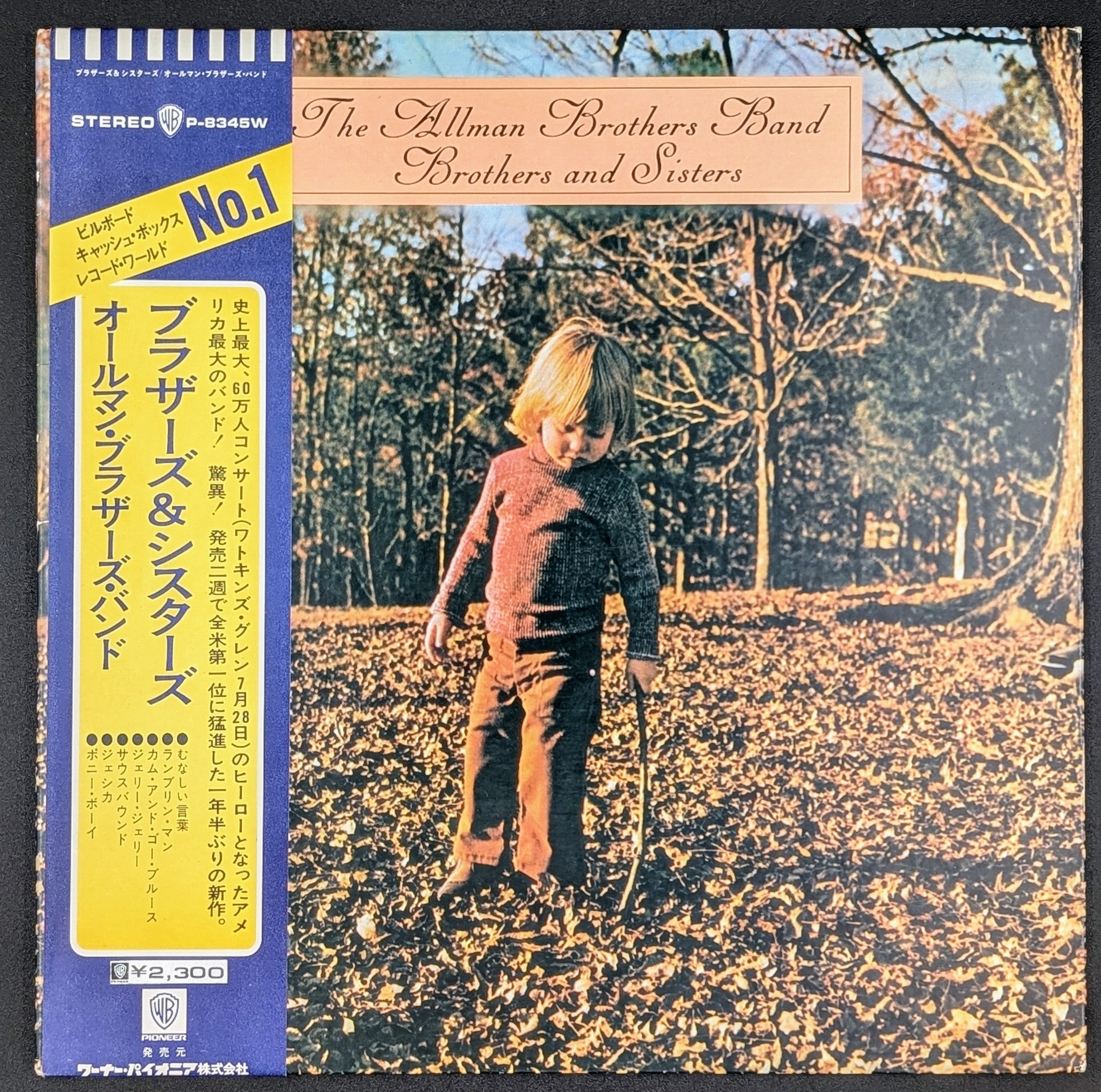 The Allman Brothers Band - Brothers And Sisters