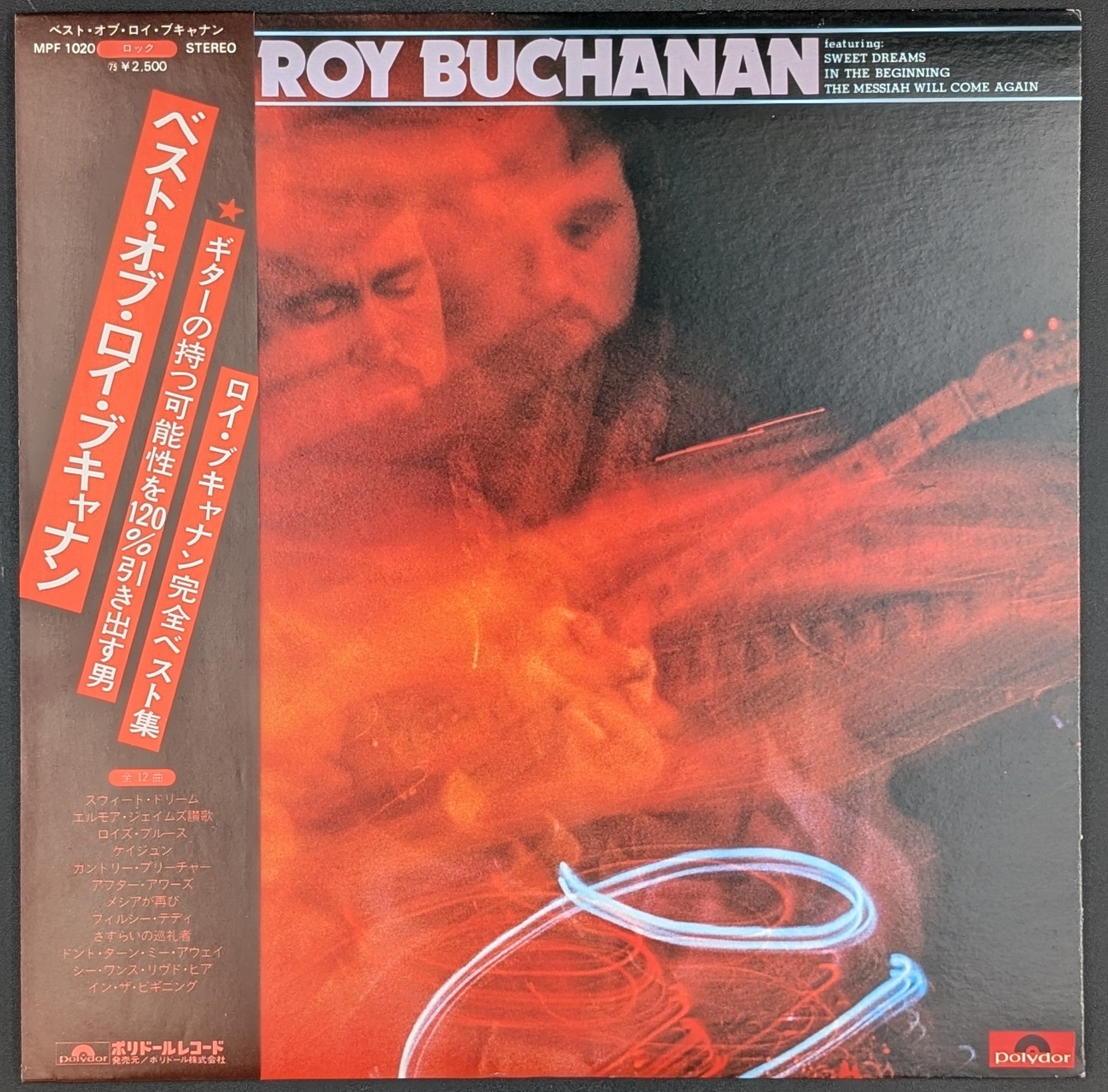 Roy Buchanan - Roy Buchanan