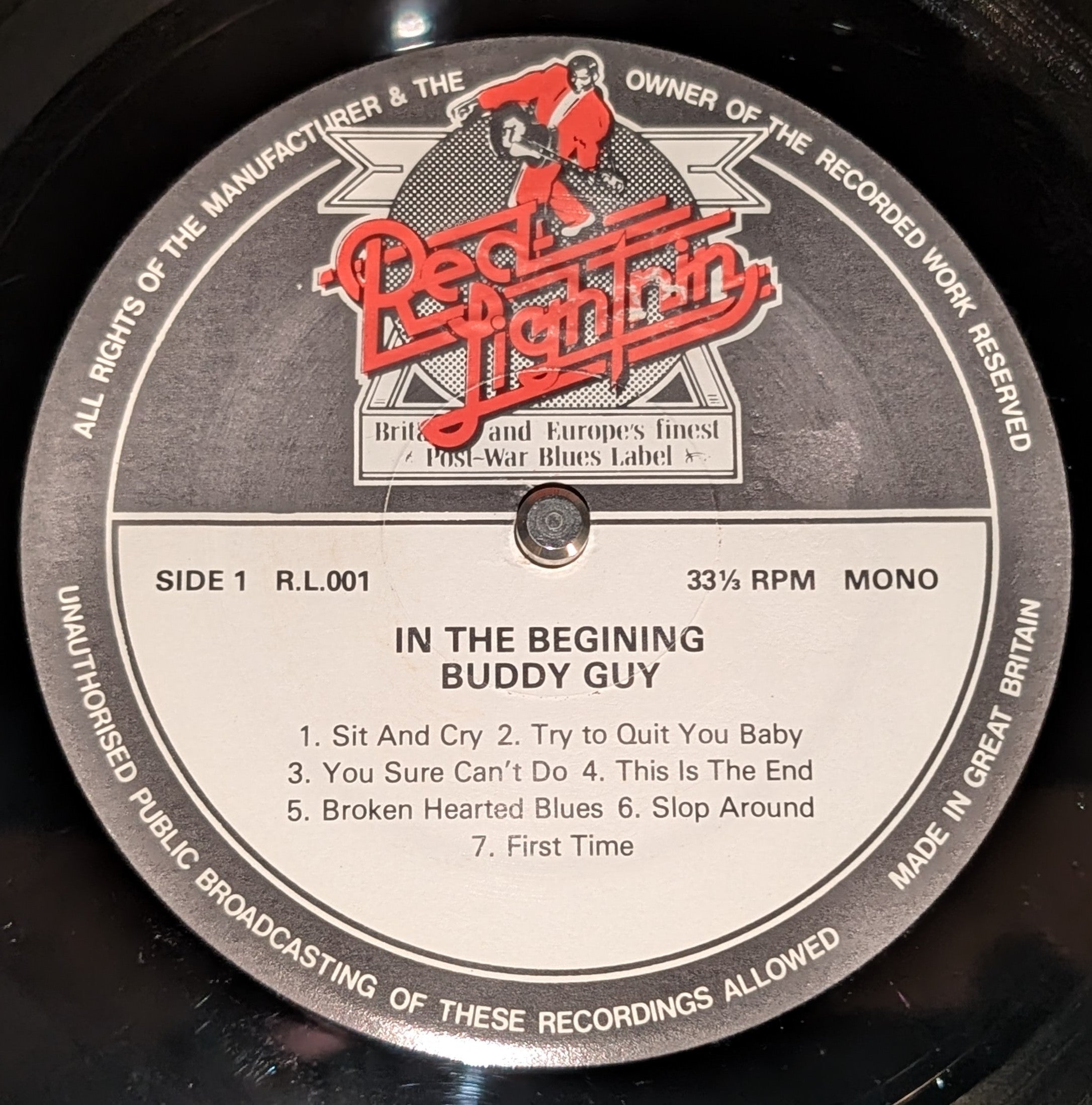 Buddy Guy - In The Beginning