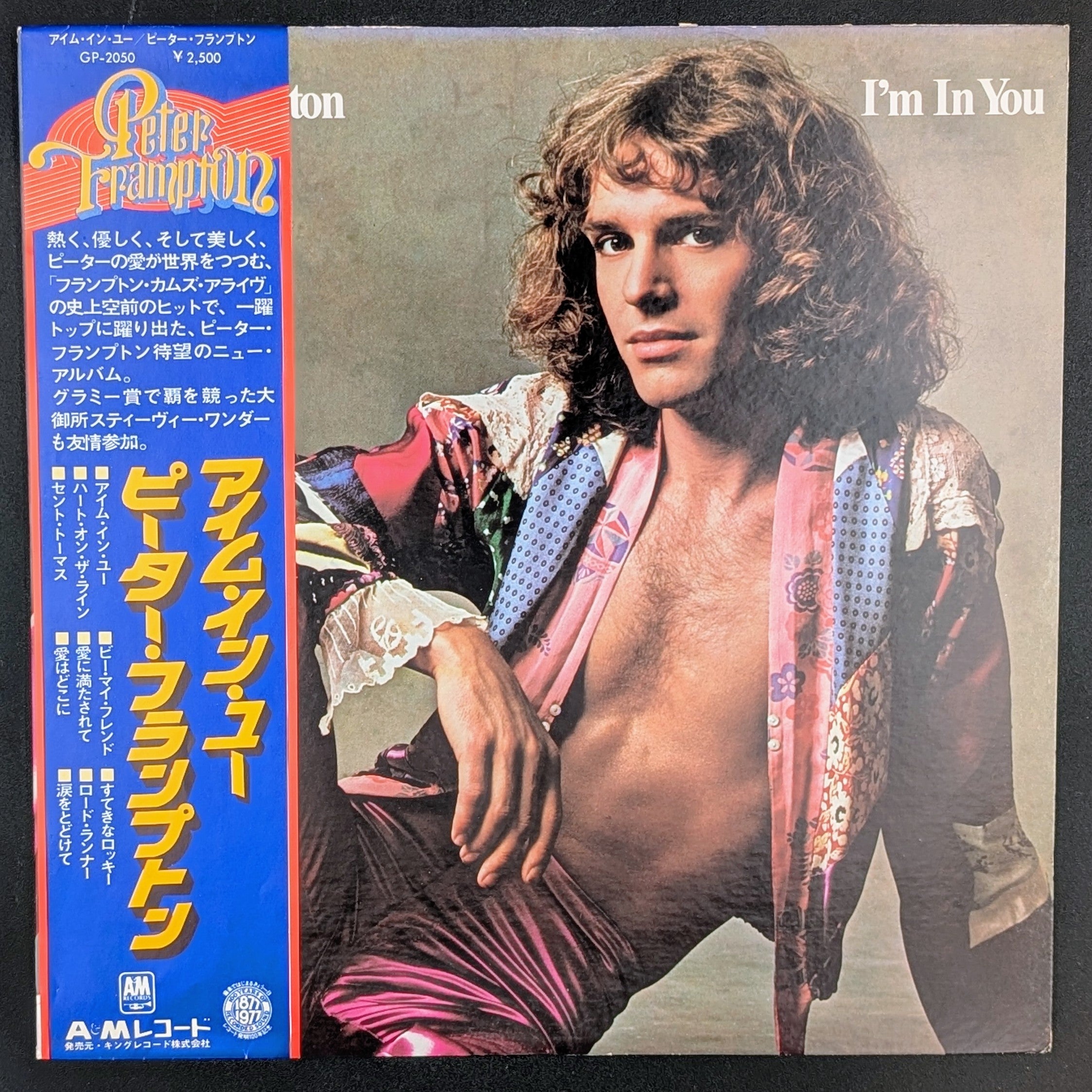 Peter Frampton - I'm In You