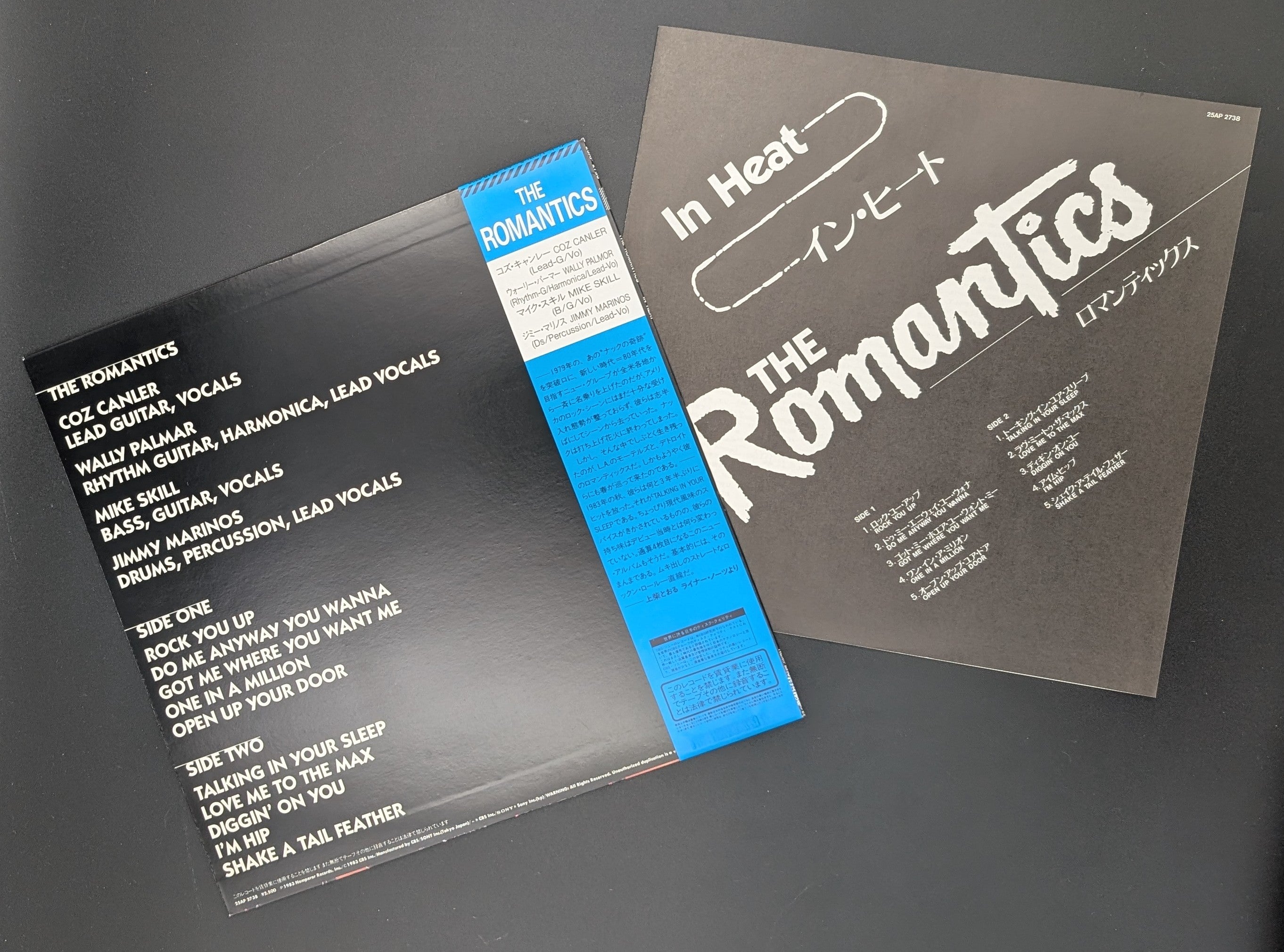The Romantics - In Heat