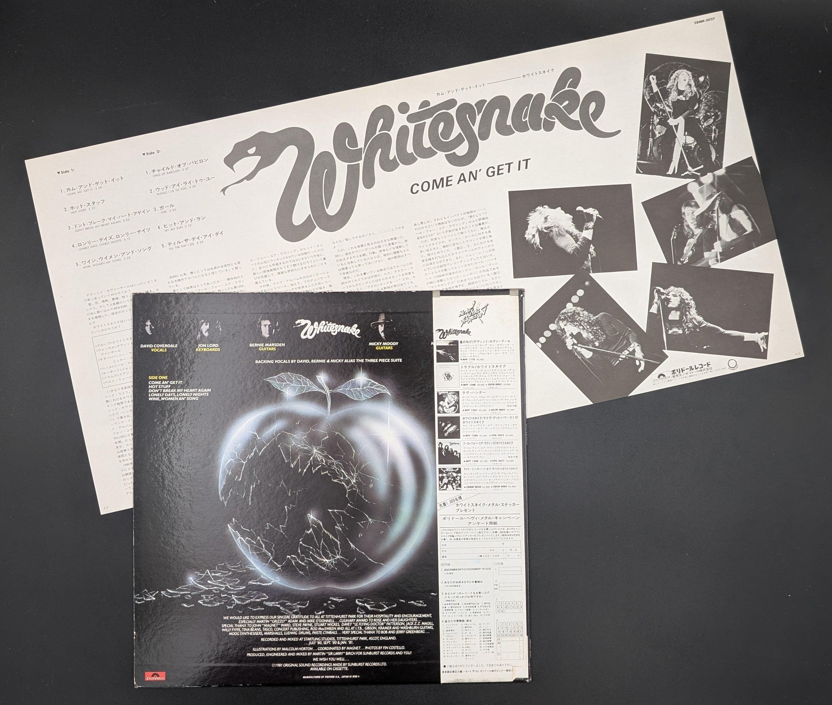 Whitesnake - Come An' Get It