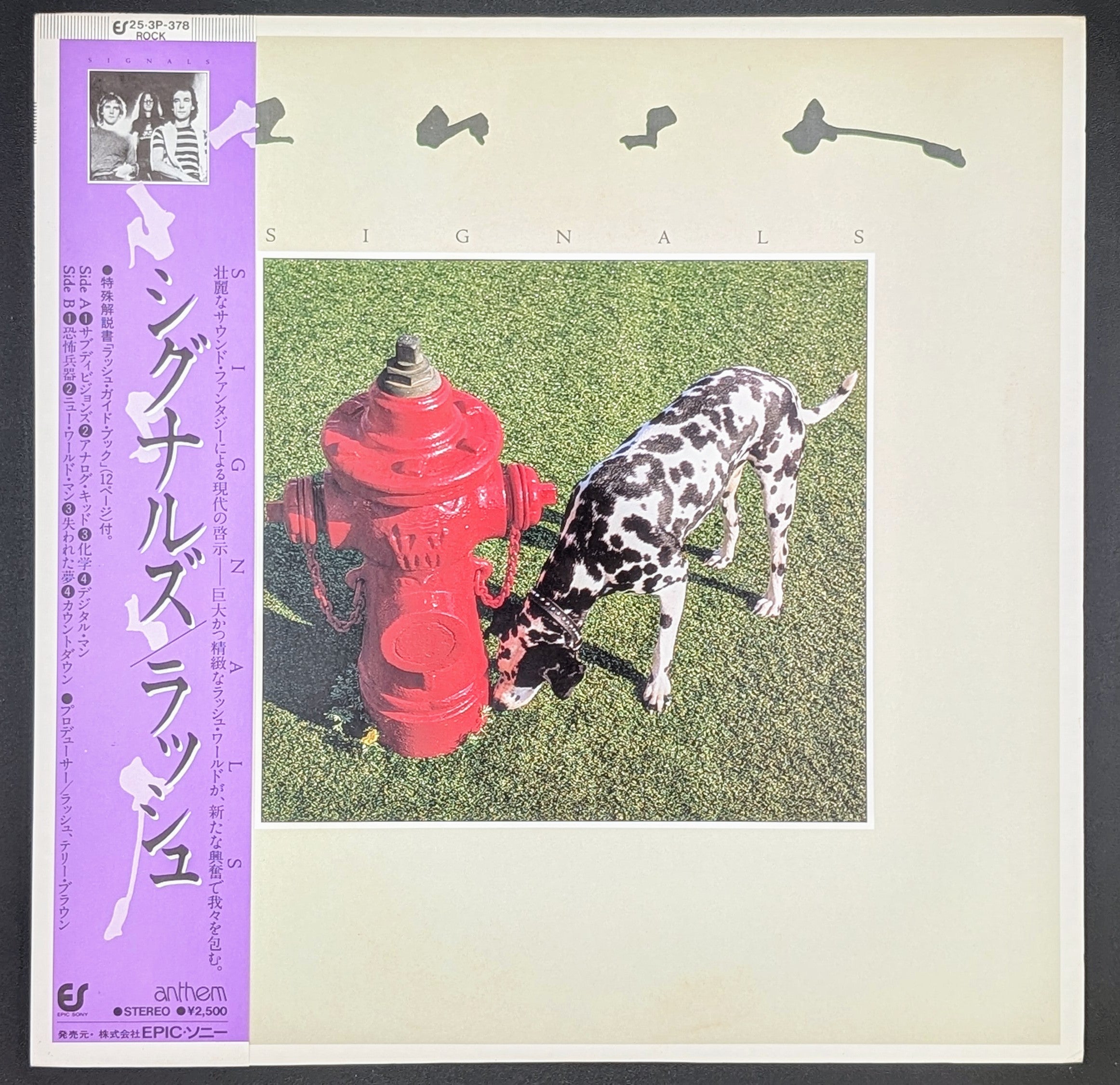 Rush - Signals