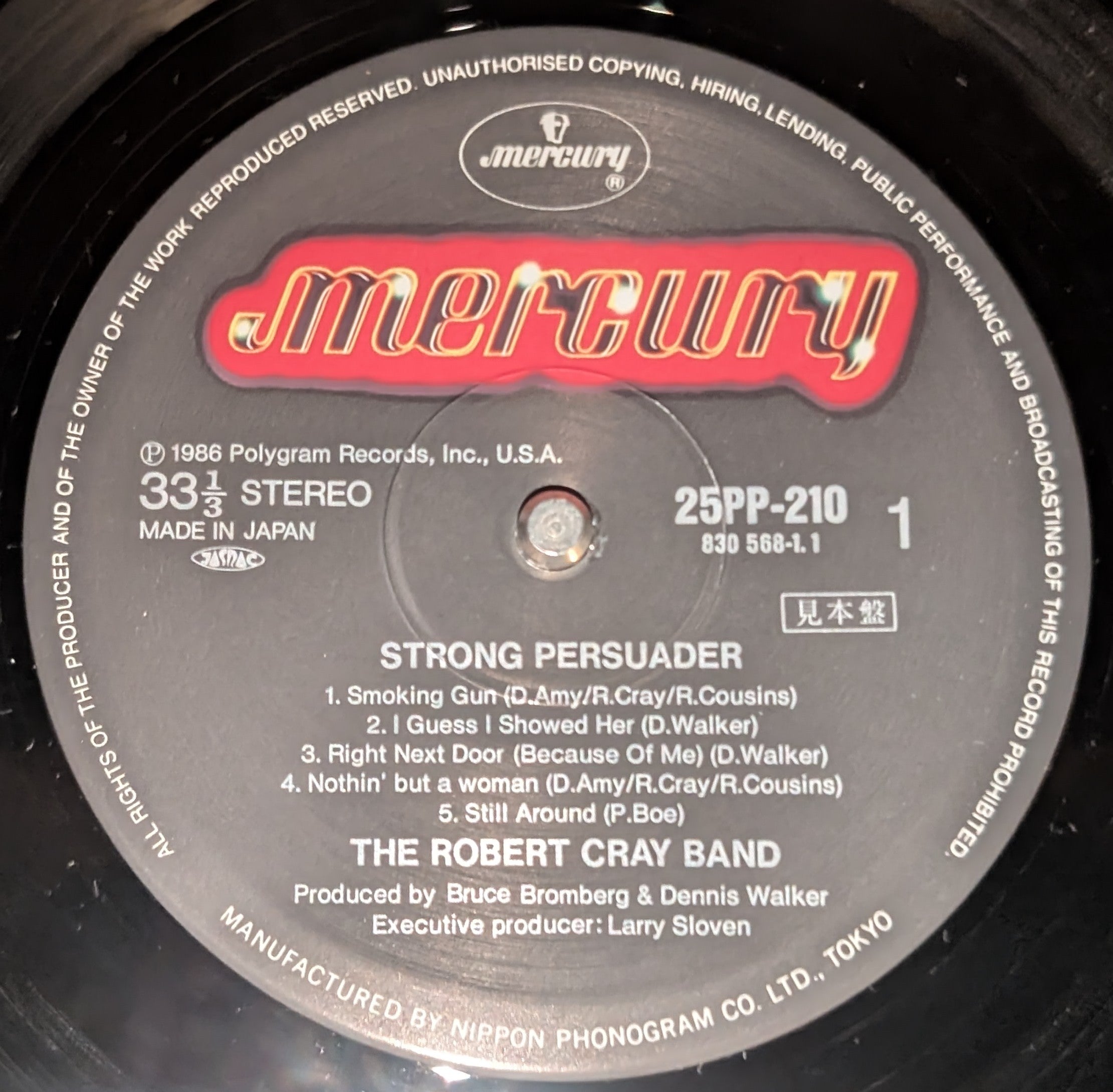 Robert Cray - Strong Persuader