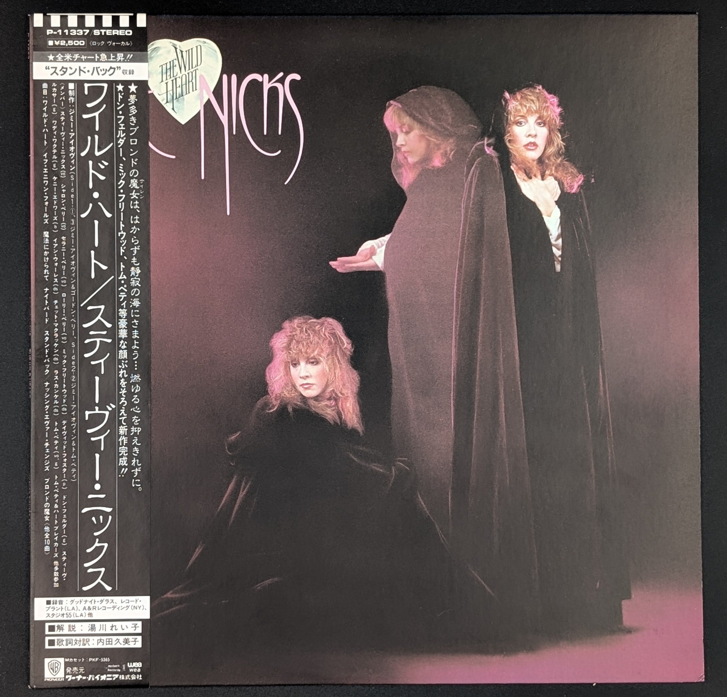 Stevie Nicks - The Wild Heart