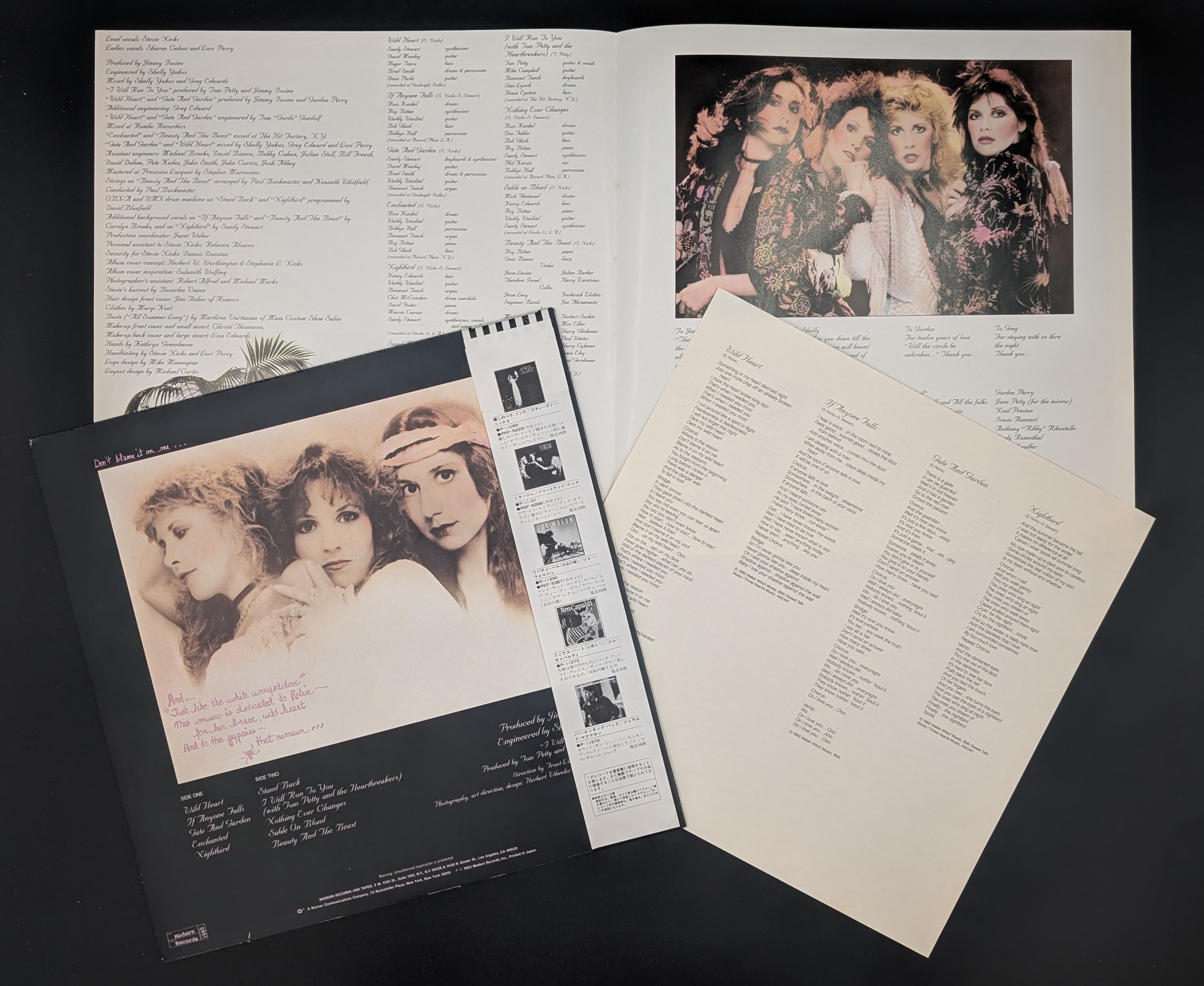 Stevie Nicks - The Wild Heart