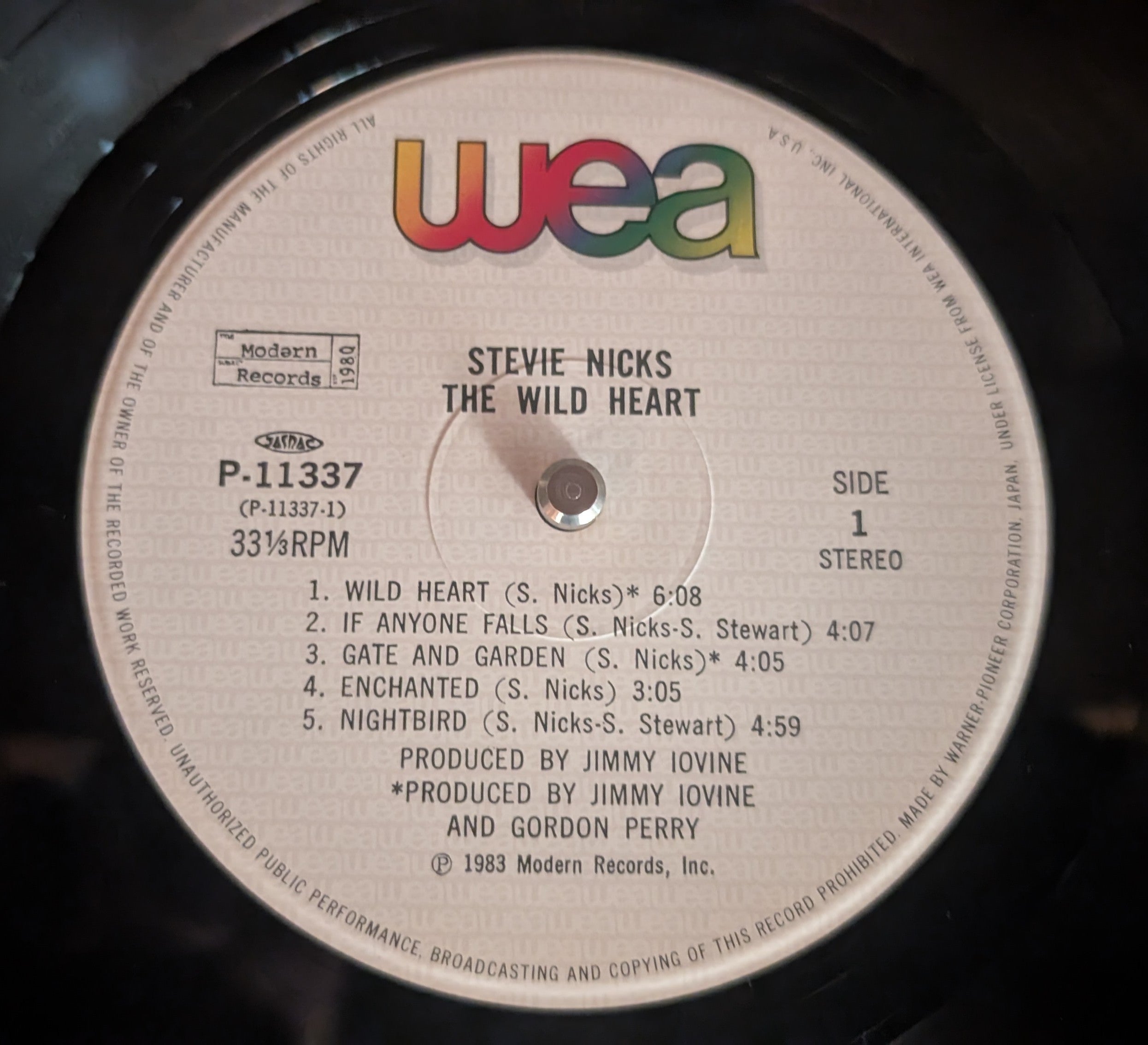 Stevie Nicks - The Wild Heart