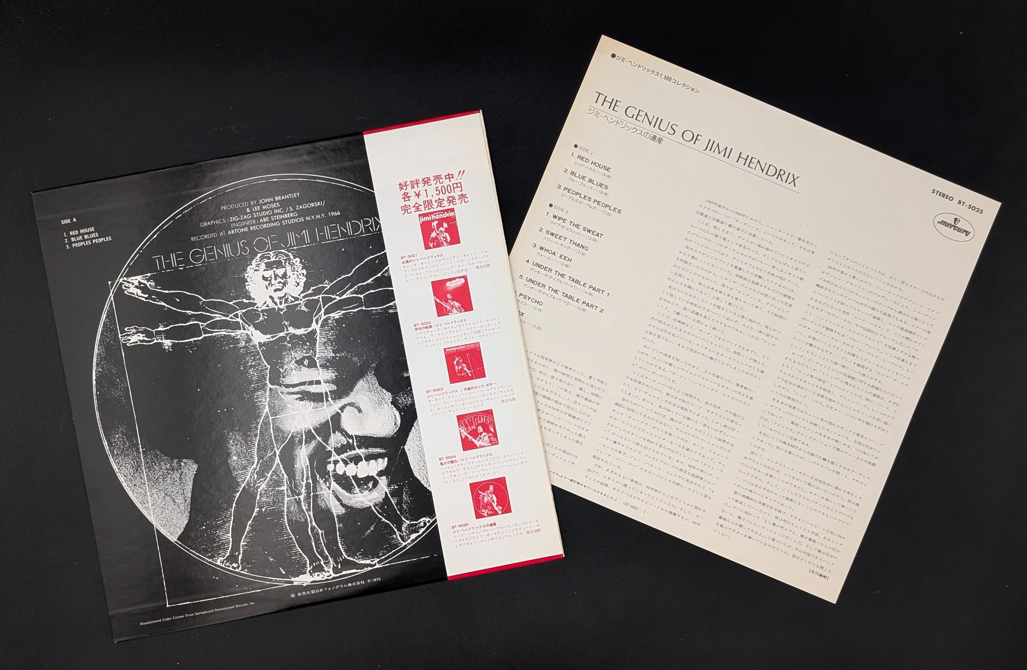 Jimi Hendrix - The Genius Of Jimi Hendrix