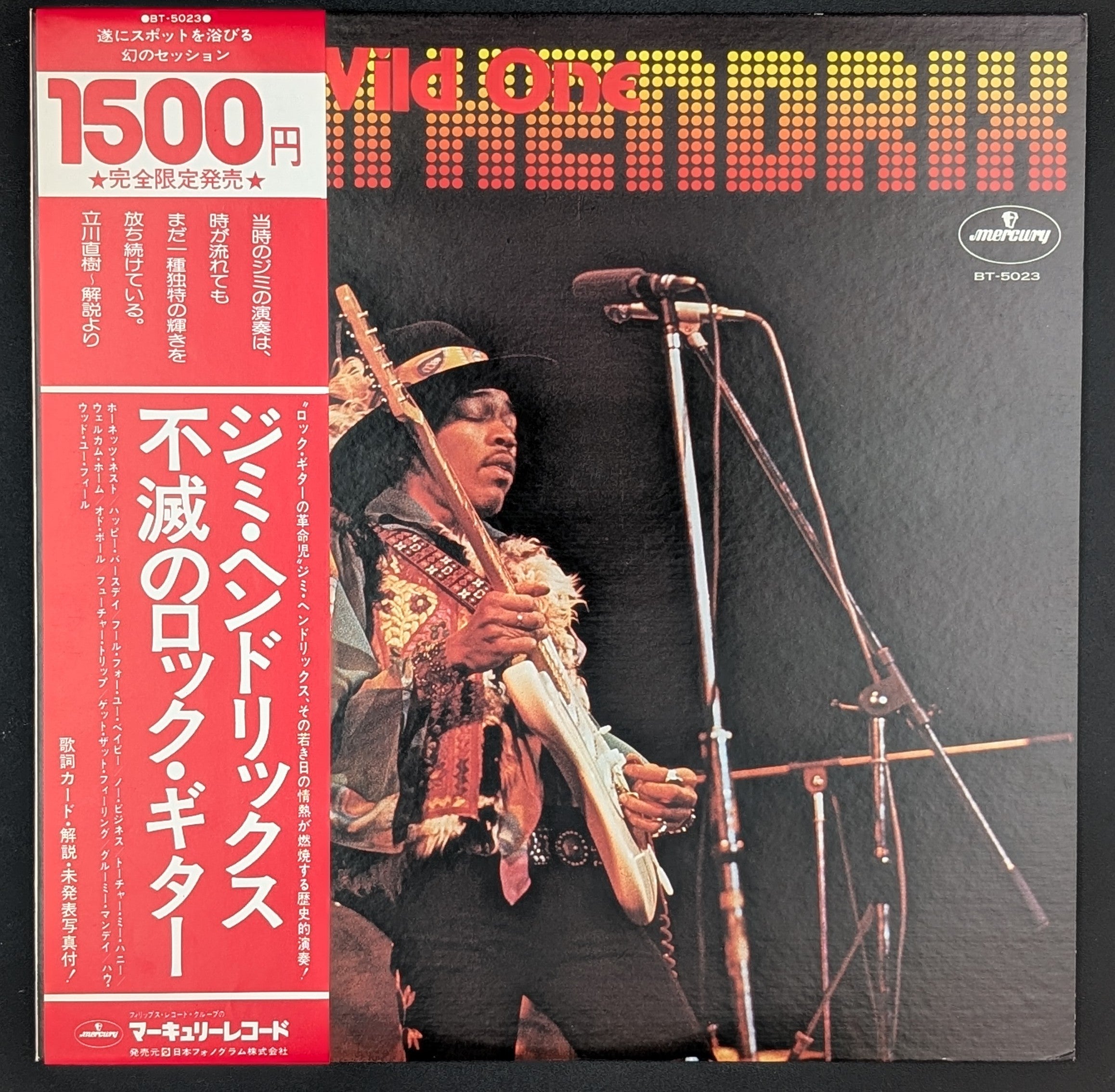 Jimi Hendrix With Curtis Knight - The Wild One