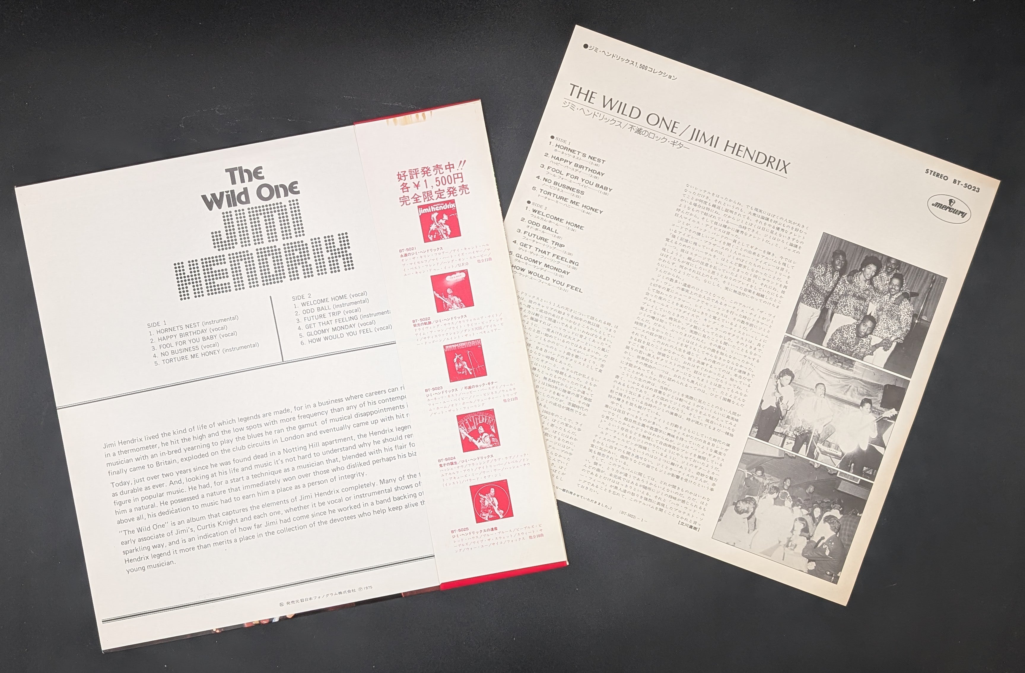 Jimi Hendrix With Curtis Knight - The Wild One