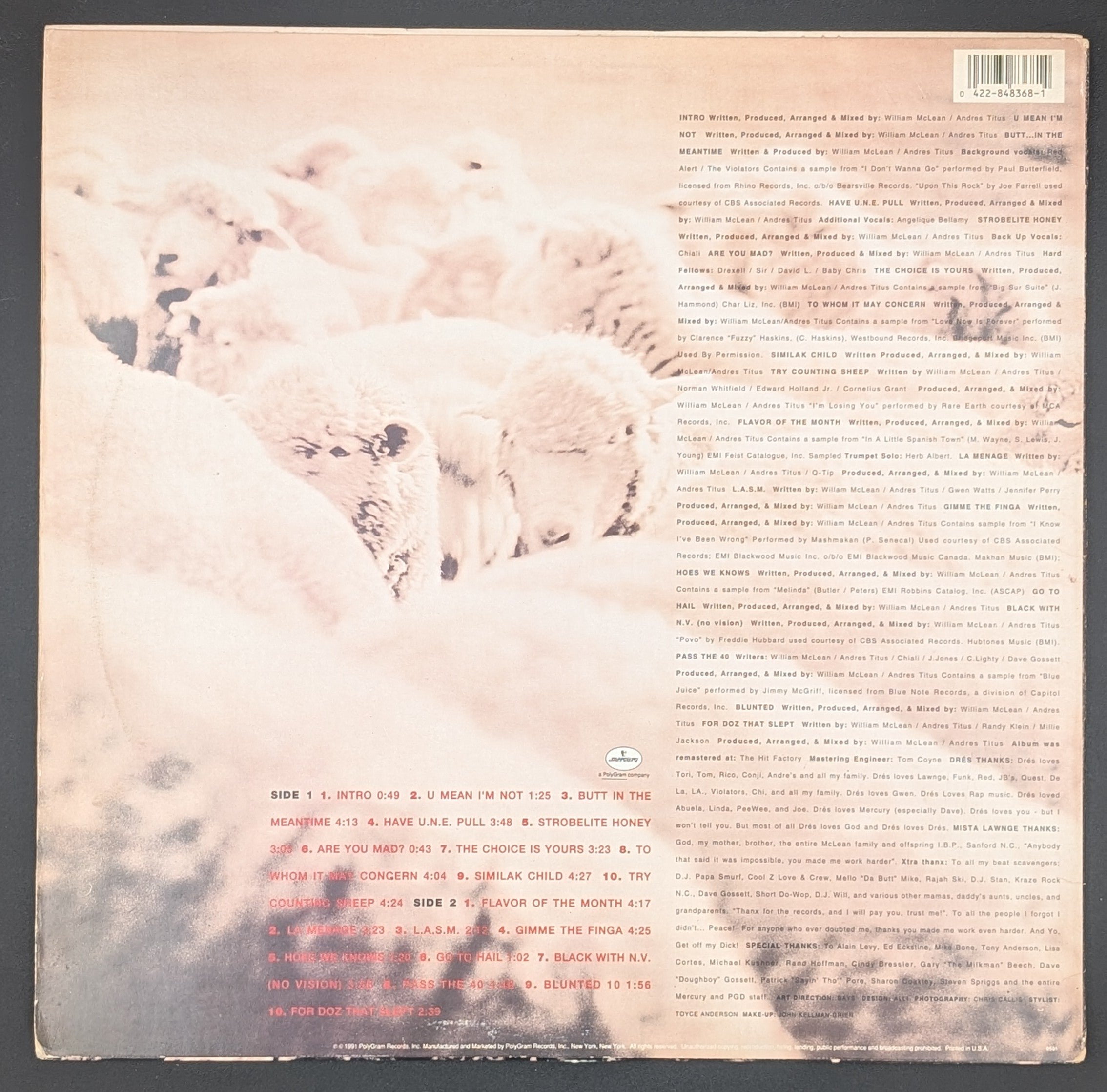 Black Sheep - A Wolf In Sheep's Clothing