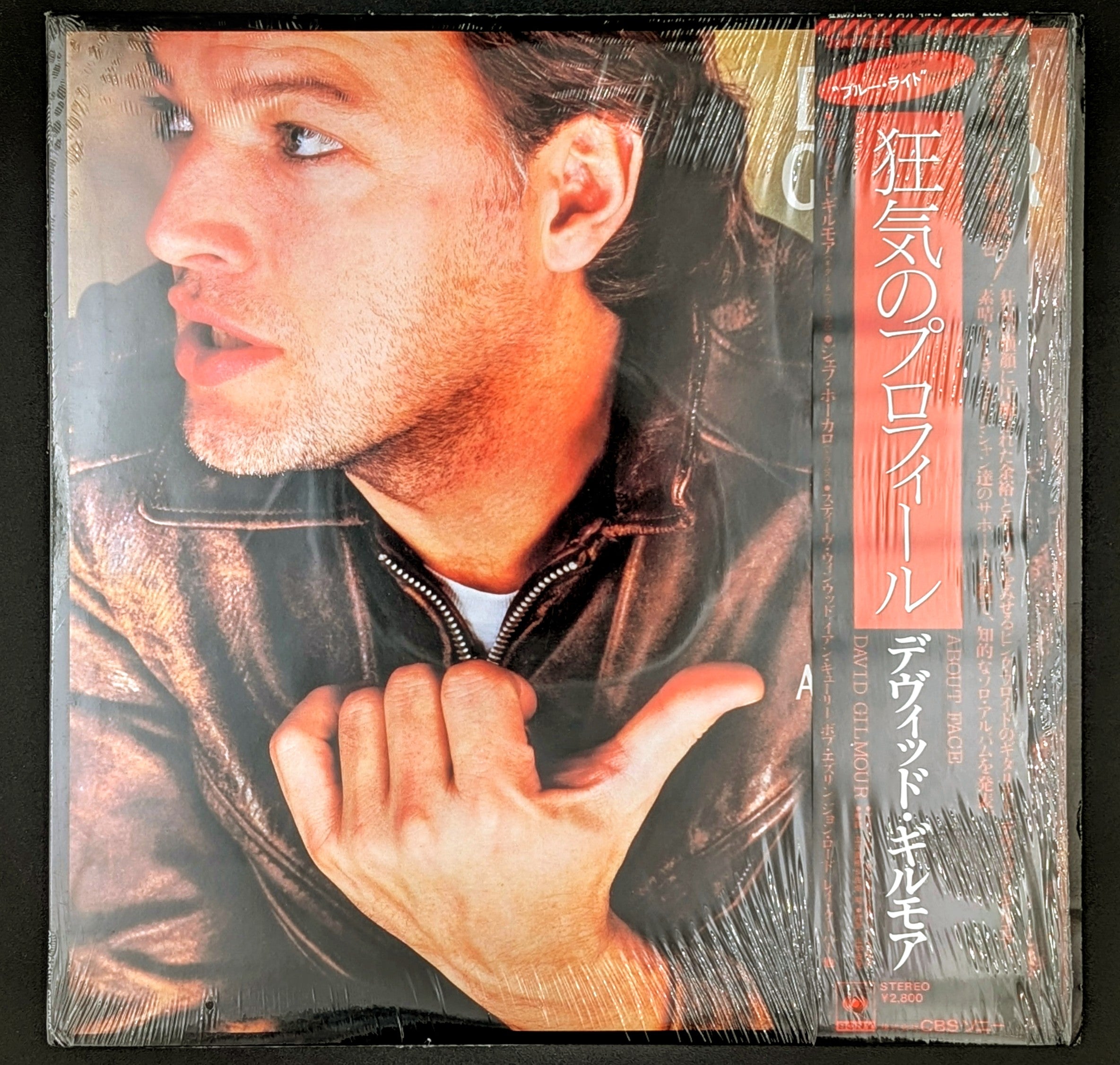 David Gilmour - About Face